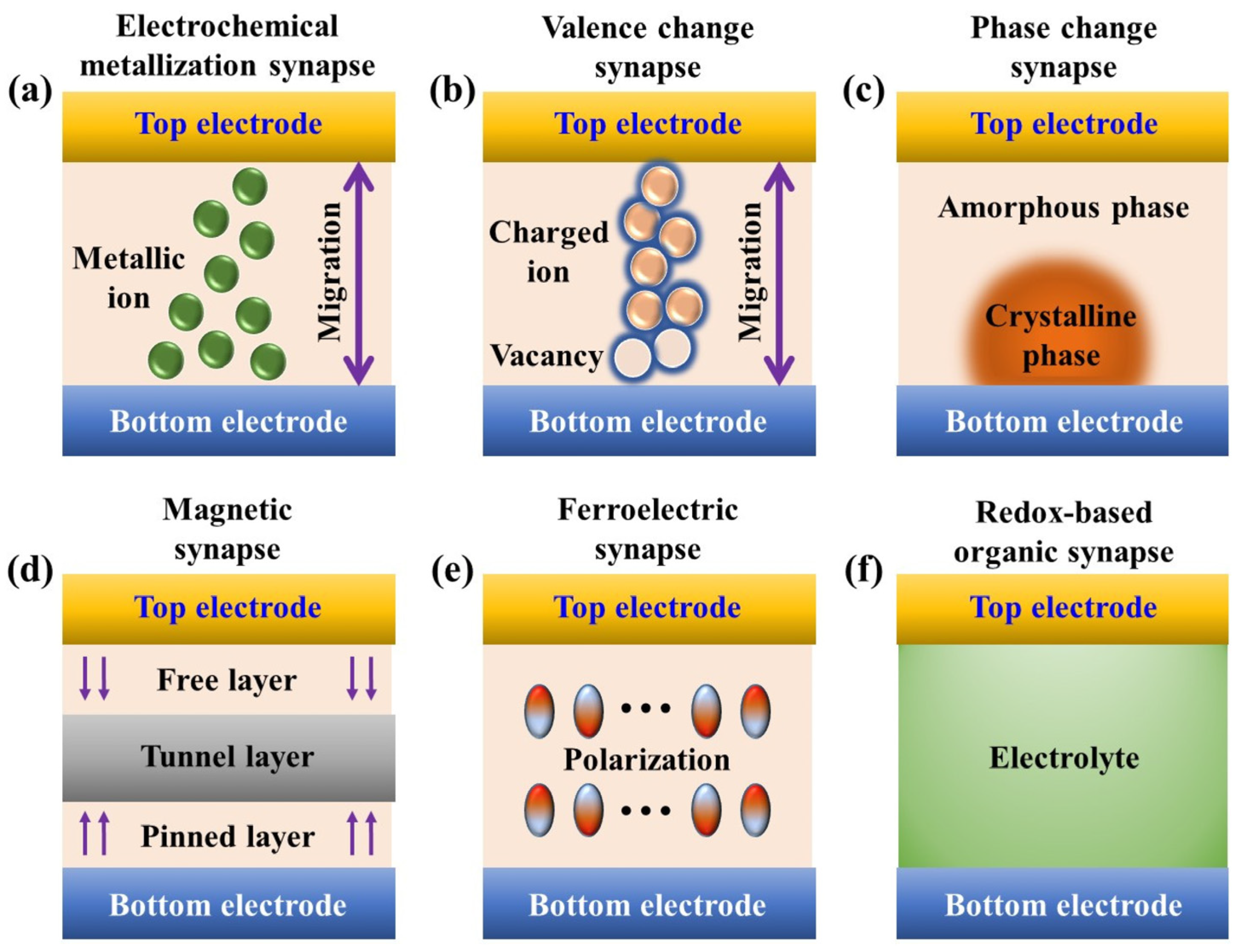 Agriculture 14 01977 g002