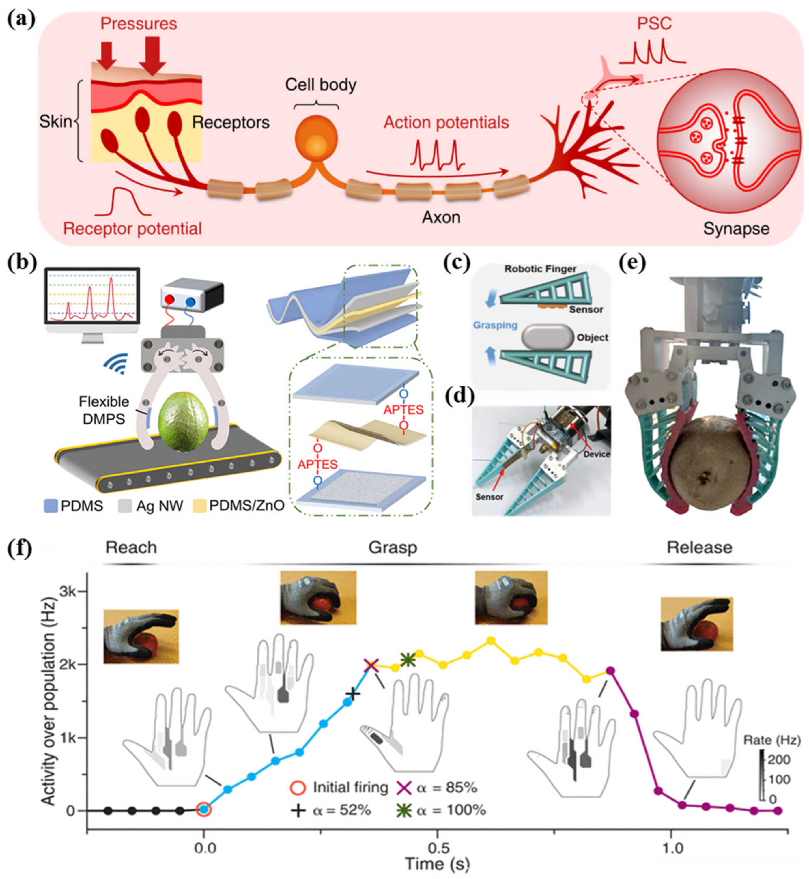 Agriculture 14 01977 g007