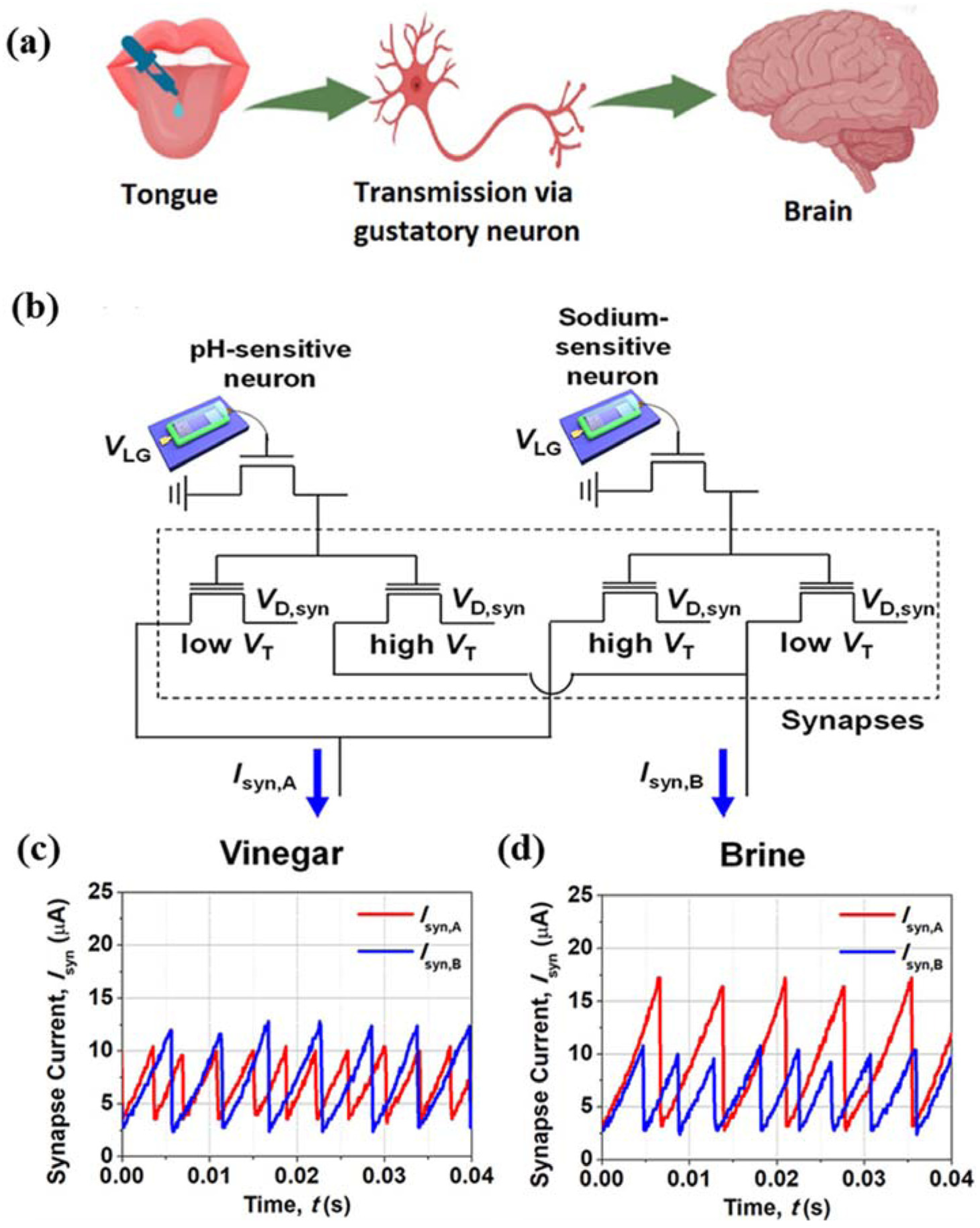 Agriculture 14 01977 g009