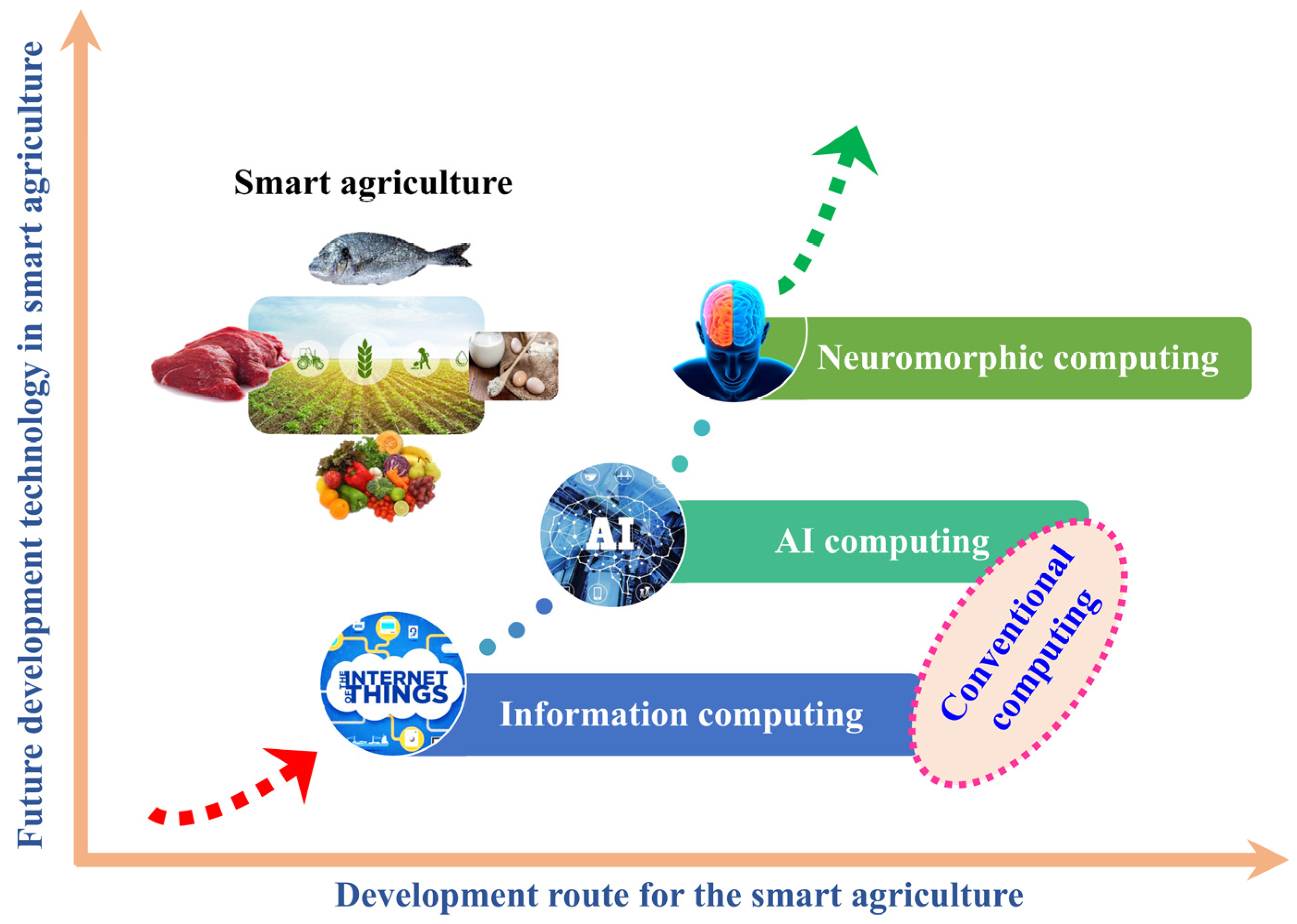 Agriculture 14 01977 g011