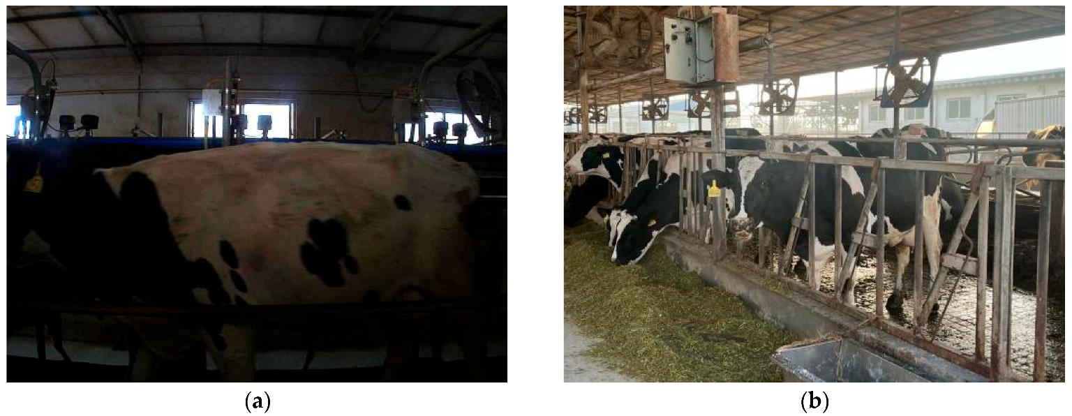 Agriculture 14 01982 g004