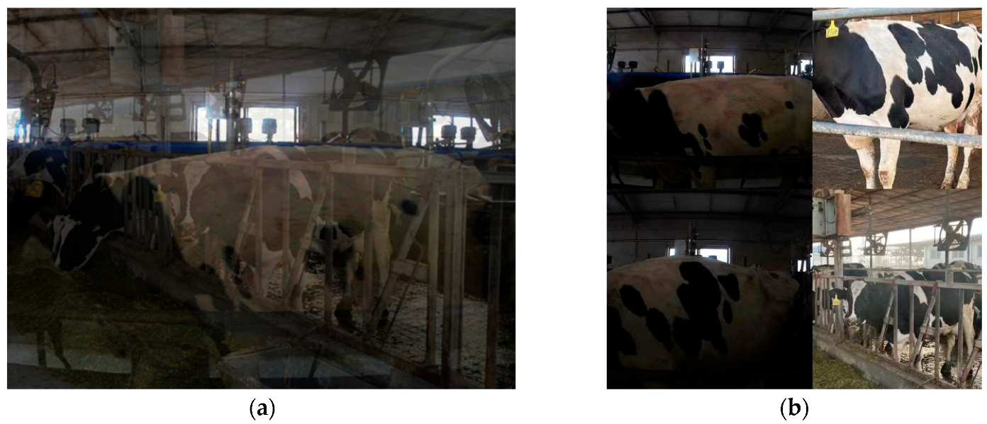 Agriculture 14 01982 g006