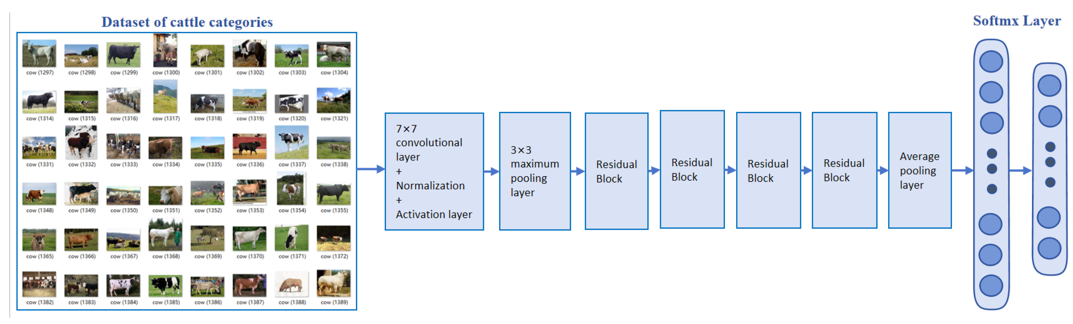 Agriculture 14 01982 g009