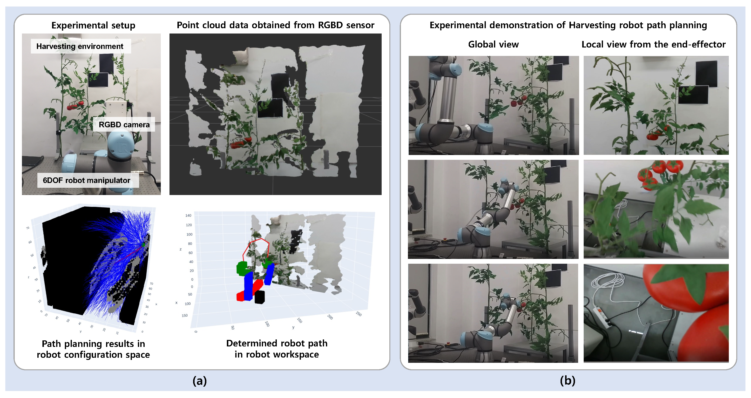 Agriculture 14 01985 g004