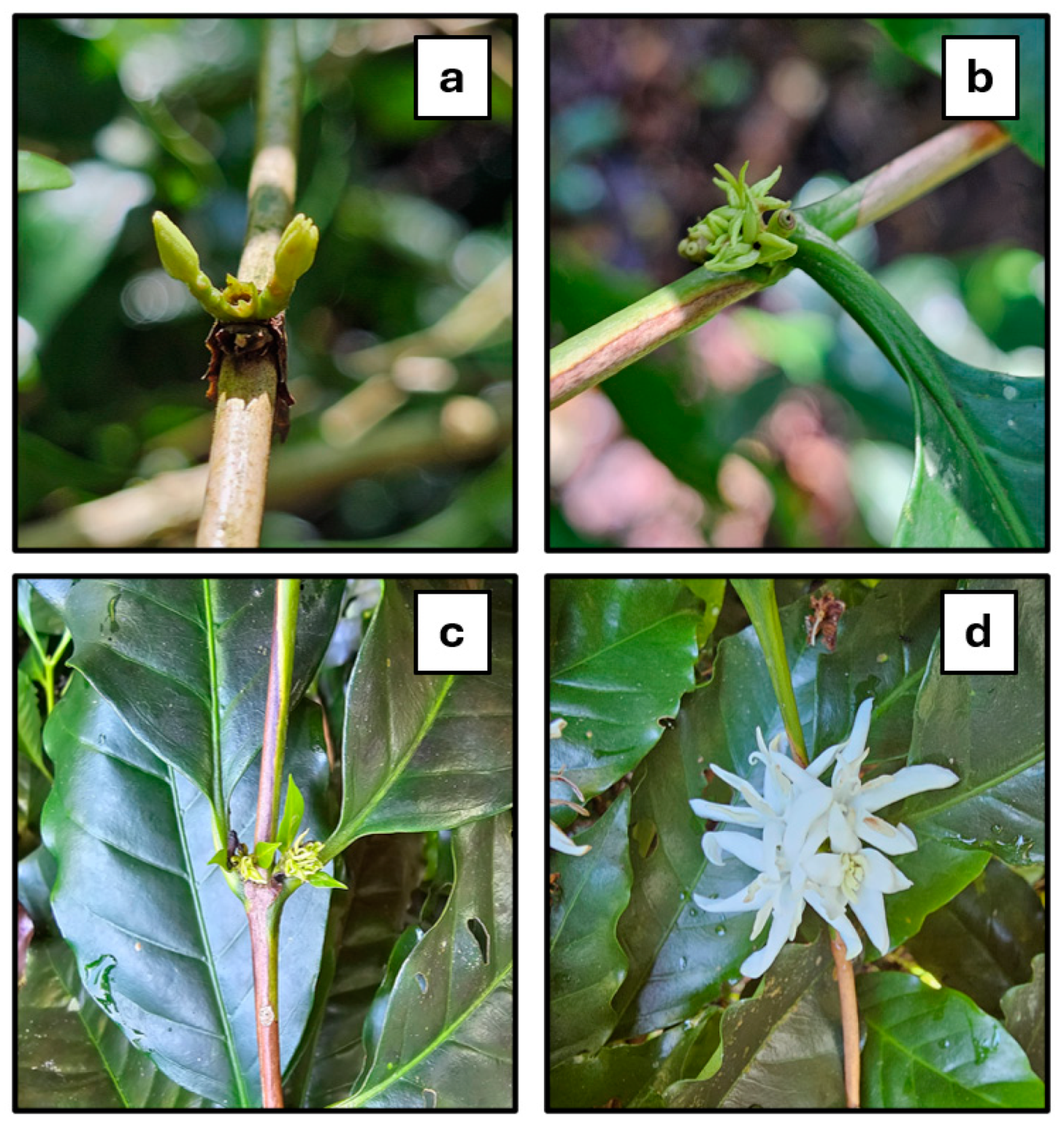 Agriculture 14 01988 g003