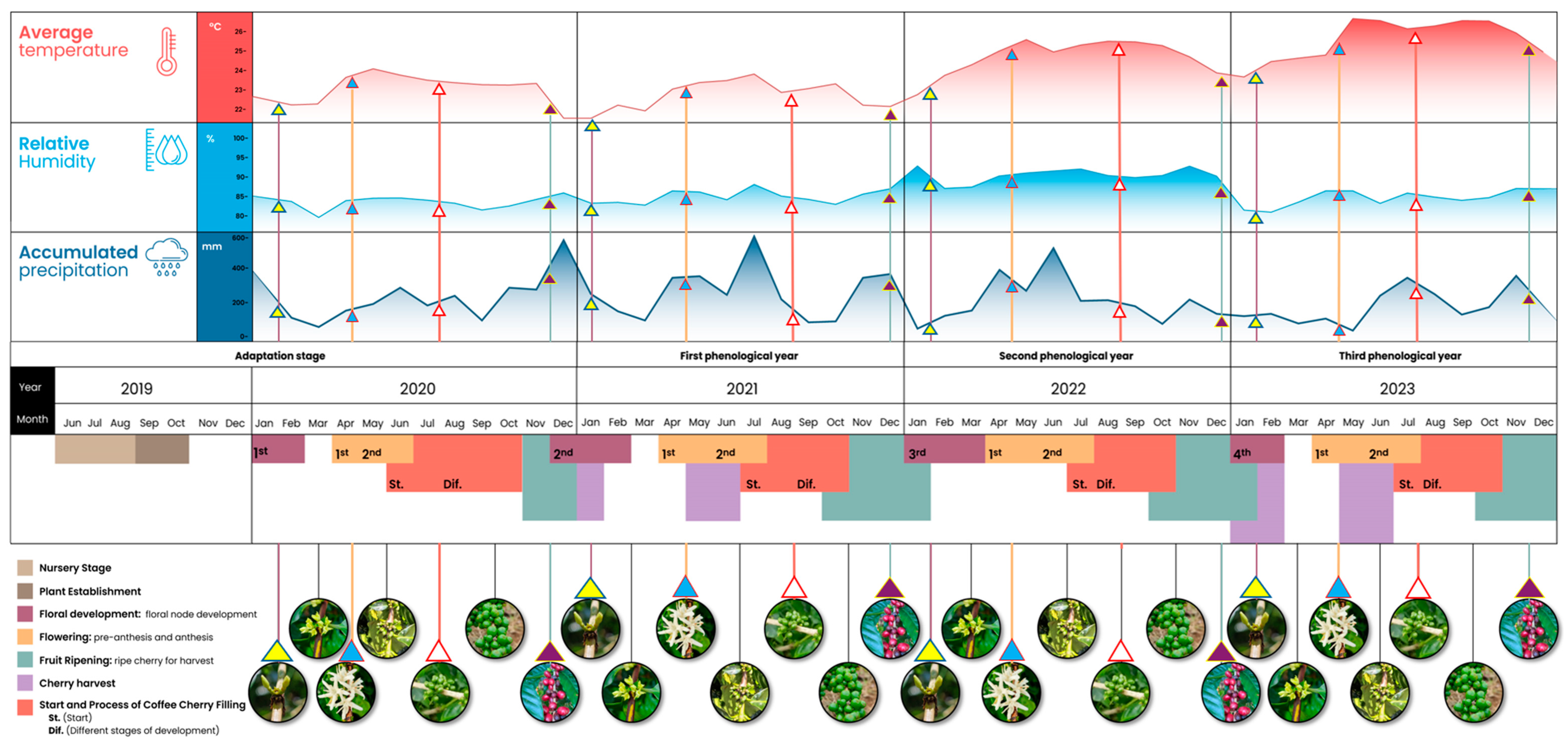 Agriculture 14 01988 g006