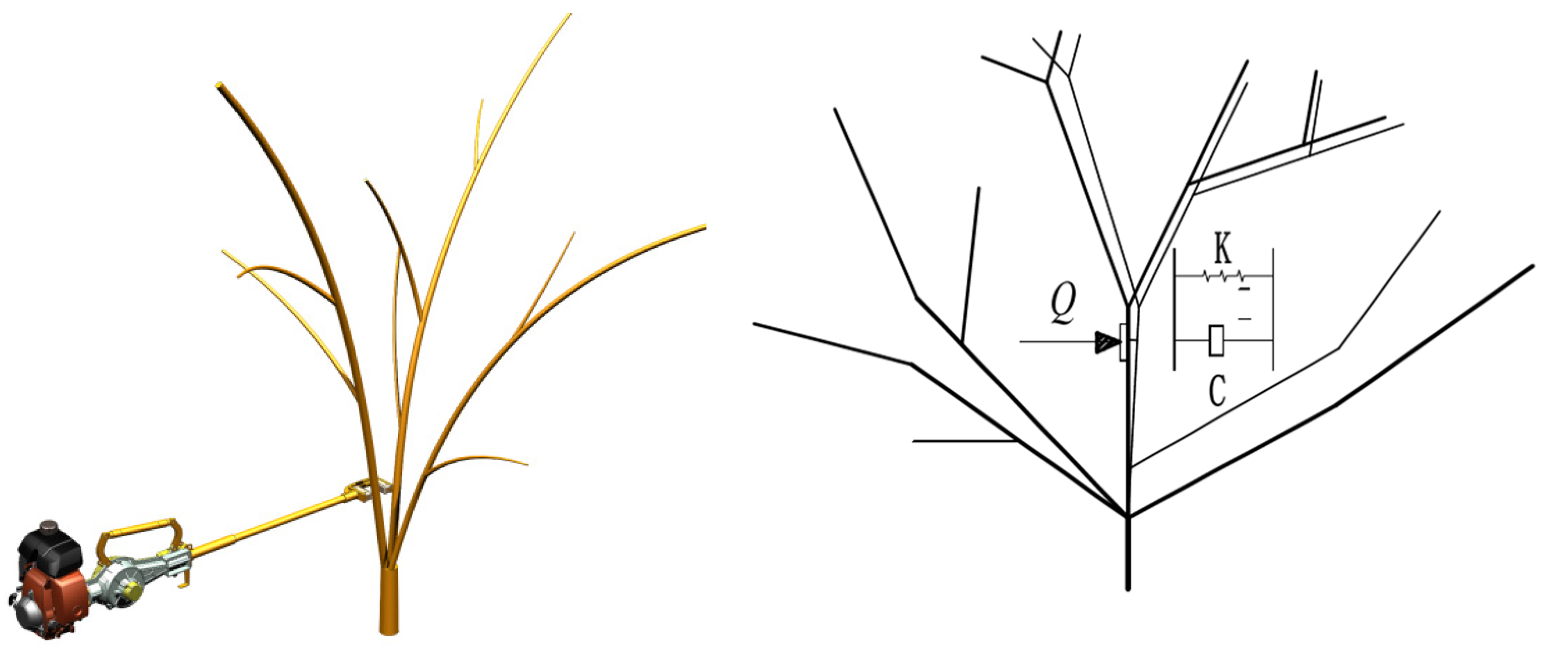 Agriculture 14 01989 g002