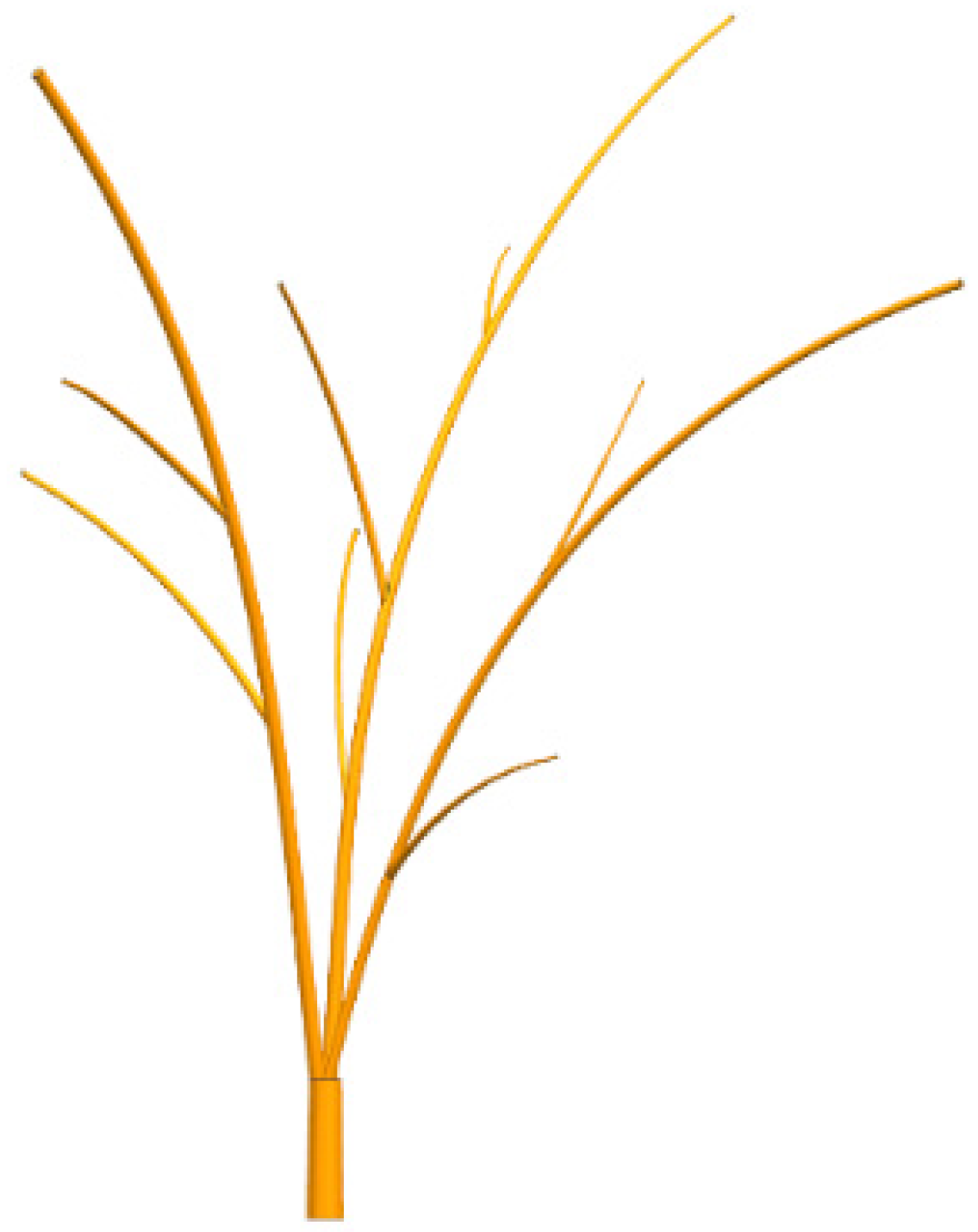 Agriculture 14 01989 g006