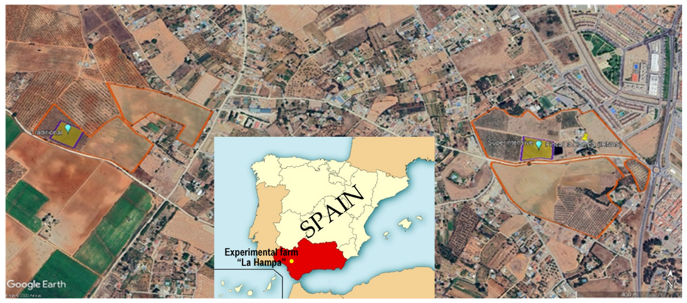 Agriculture 14 02005 g0a1