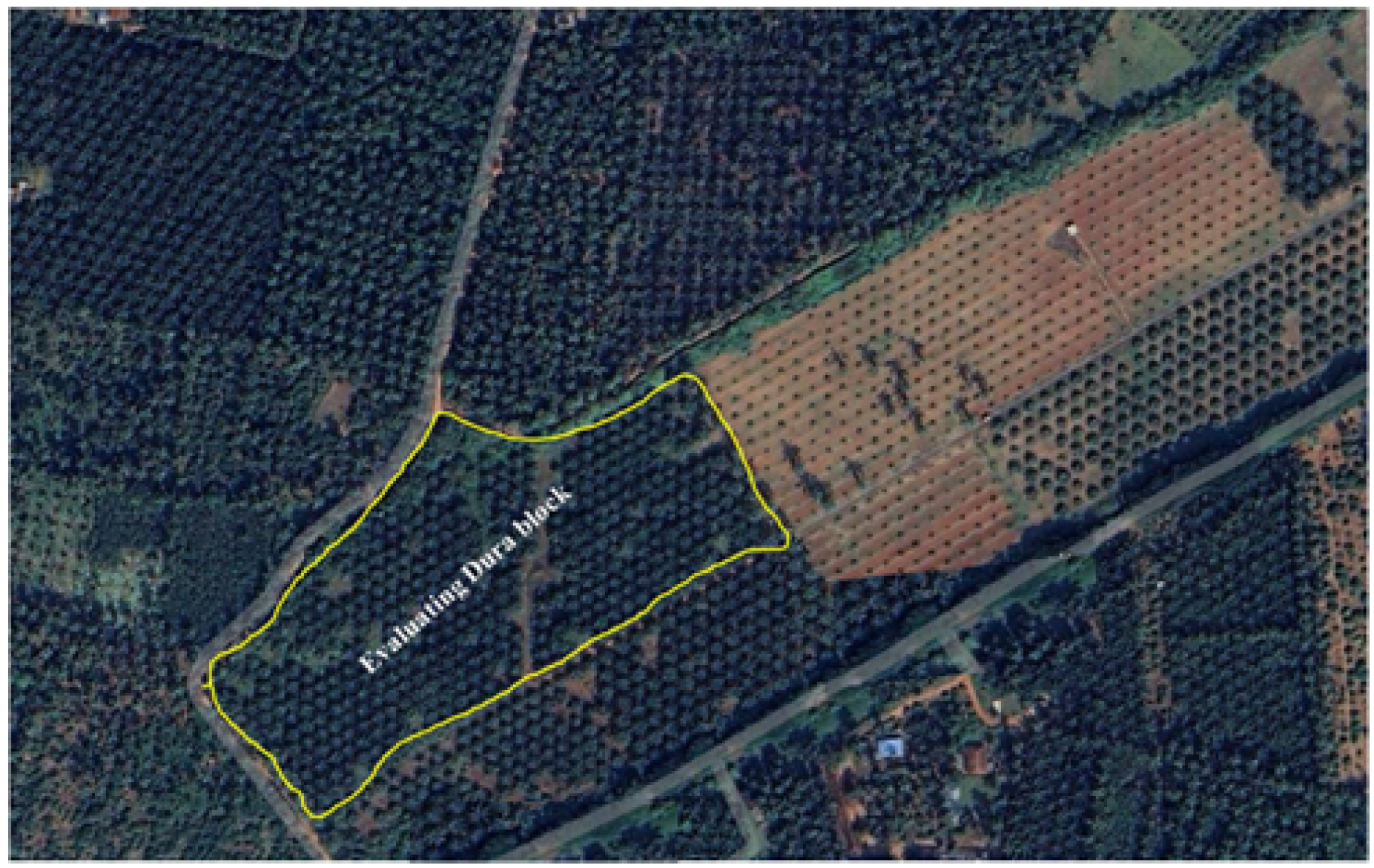 Agriculture 14 02007 g001