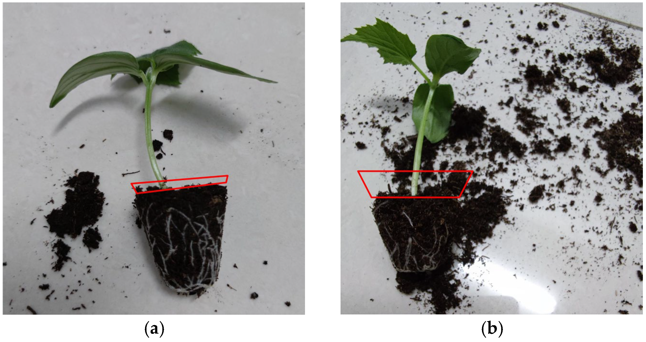 Agriculture 14 02012 g008