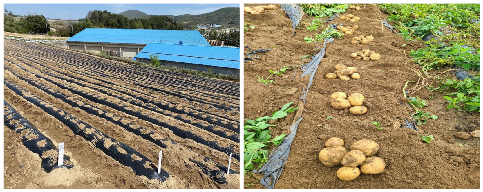 Agriculture 14 02014 g001