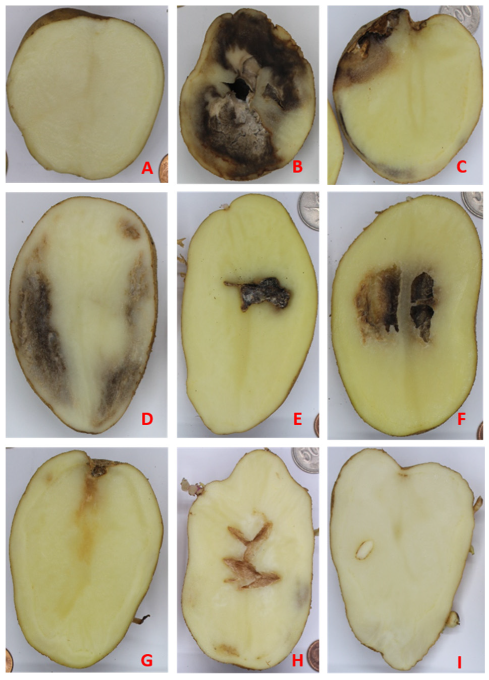 Agriculture 14 02014 g003