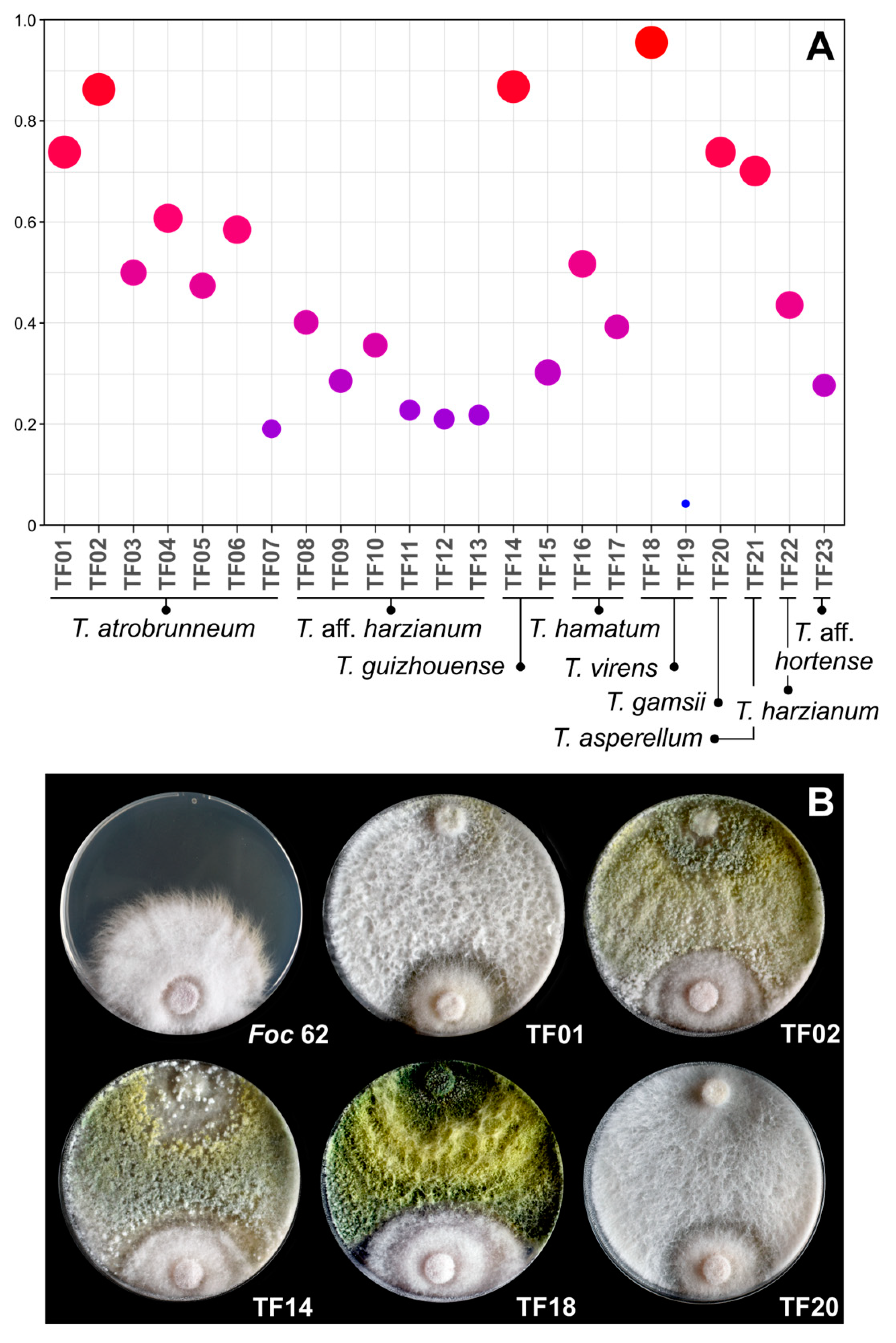 Agriculture 14 02016 g005 Agriculture 14 02016 g005