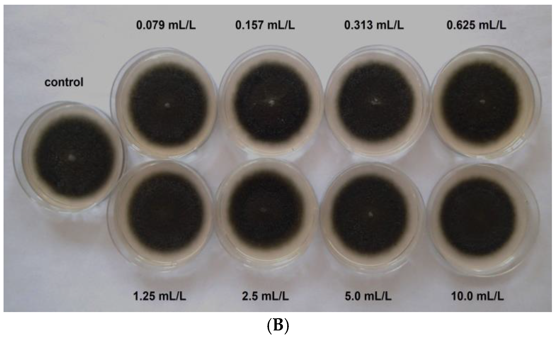 Agriculture 14 02017 g003b