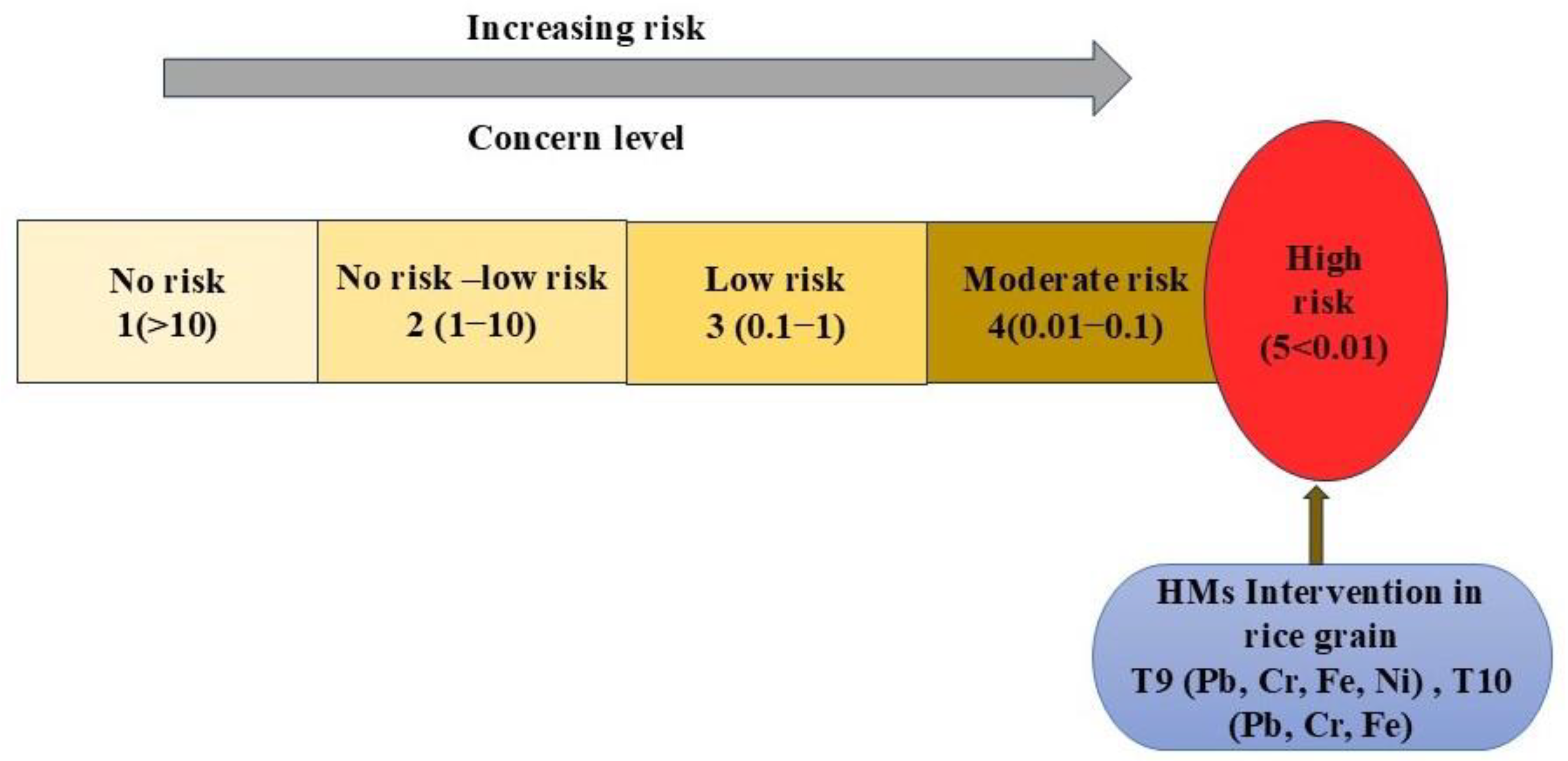 Agriculture 14 02020 g004
