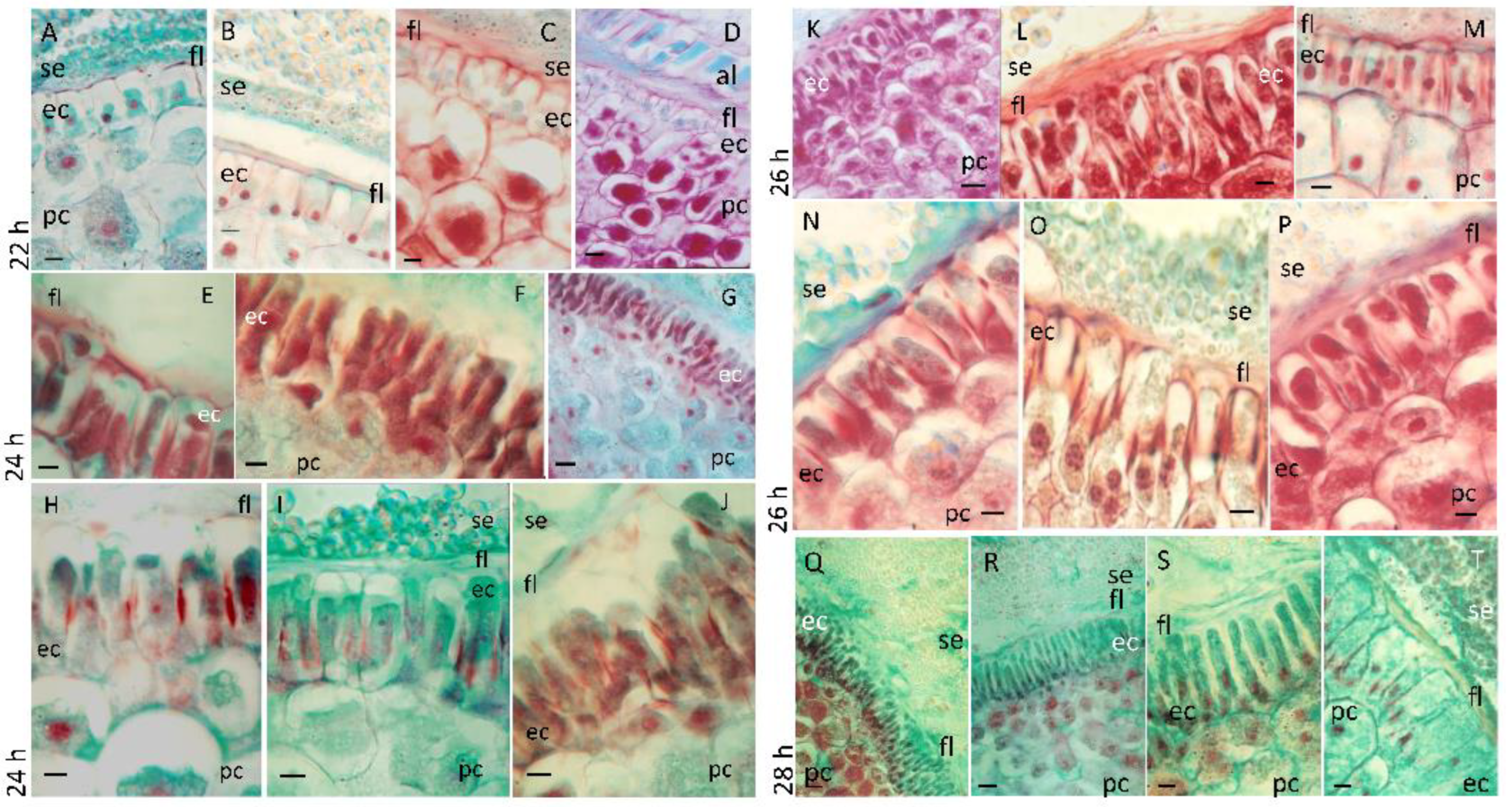 Agriculture 14 02025 g002 Agriculture 14 02025 g002