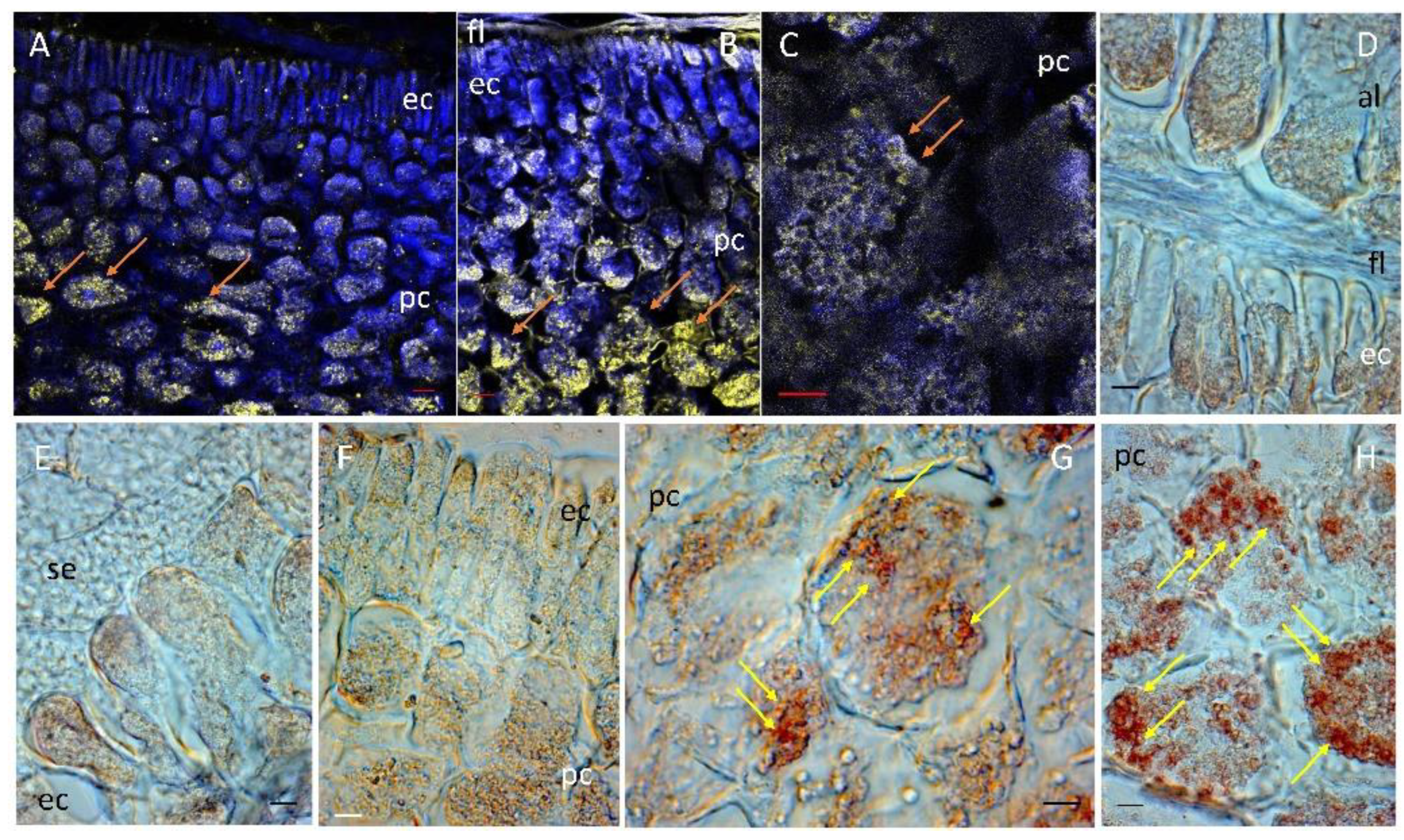 Agriculture 14 02025 g005 Agriculture 14 02025 g005