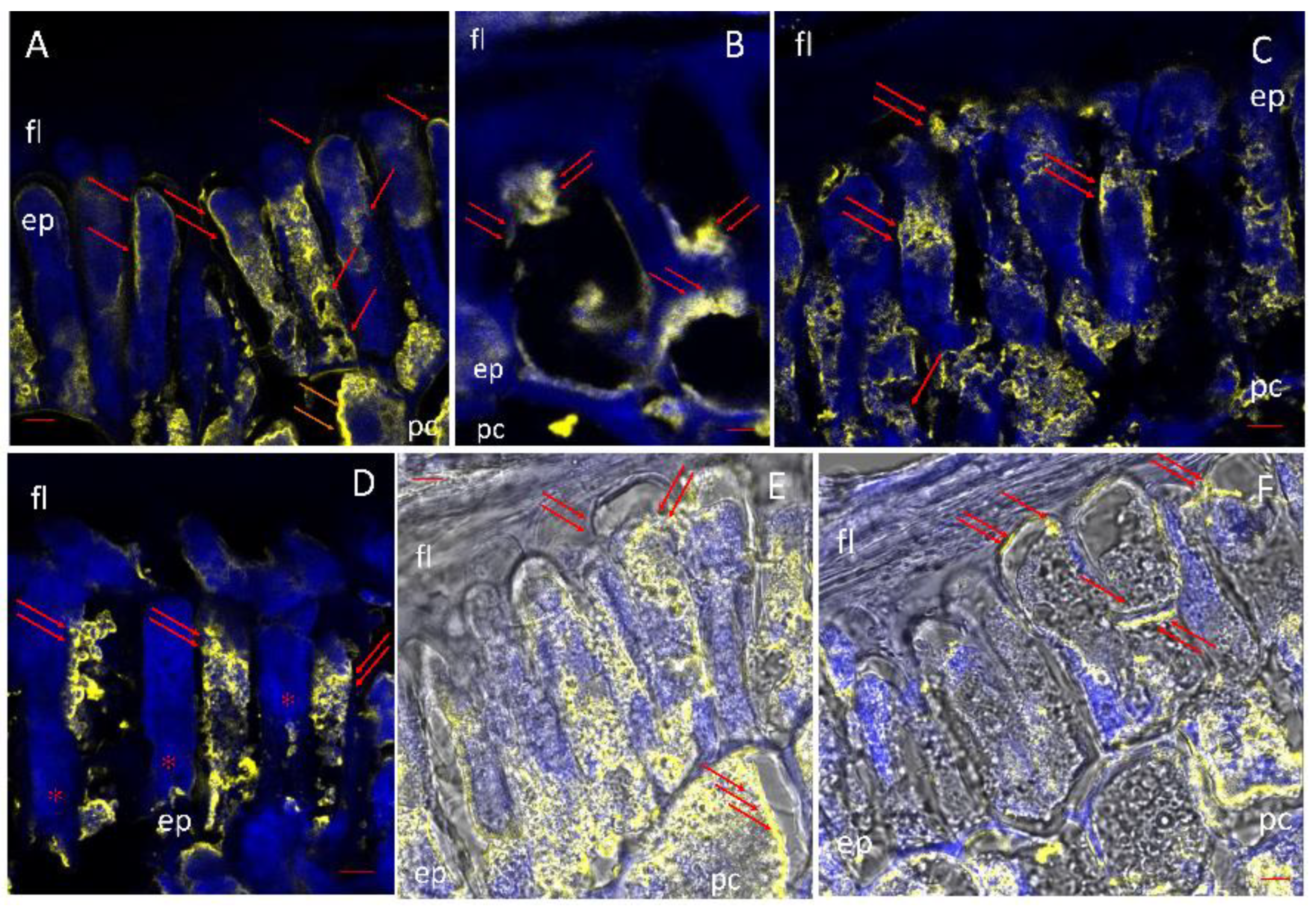 Agriculture 14 02025 g009 Agriculture 14 02025 g009