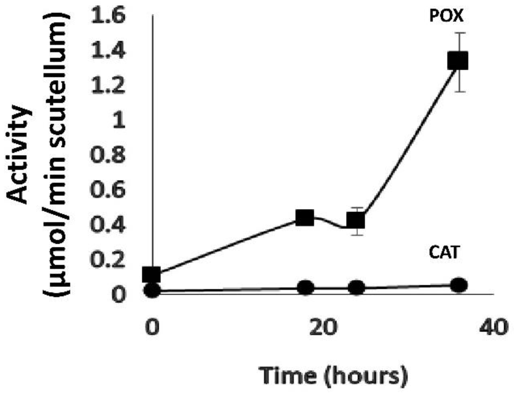 Agriculture 14 02025 g010 Agriculture 14 02025 g010