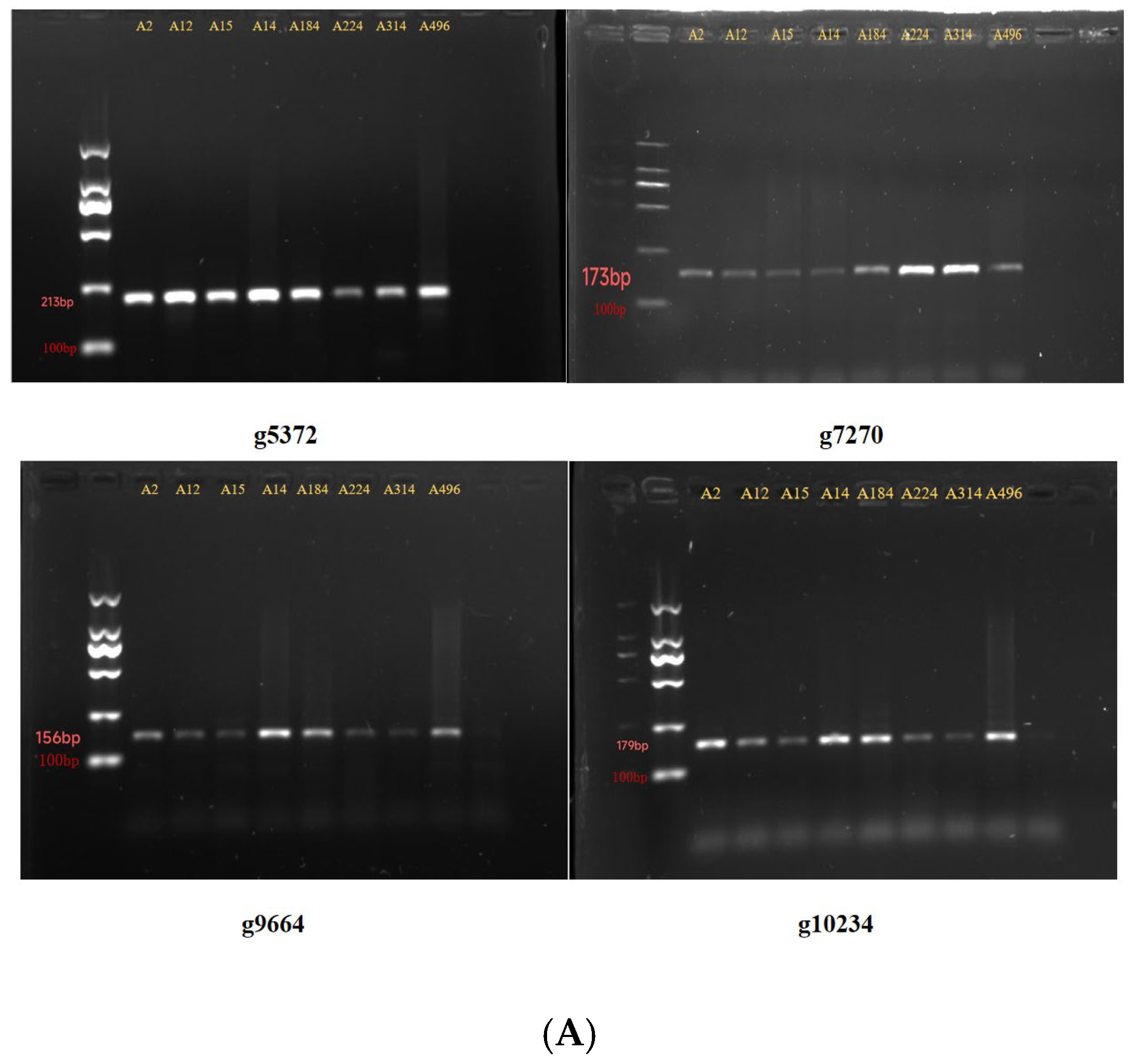 Agriculture 14 02027 g001a