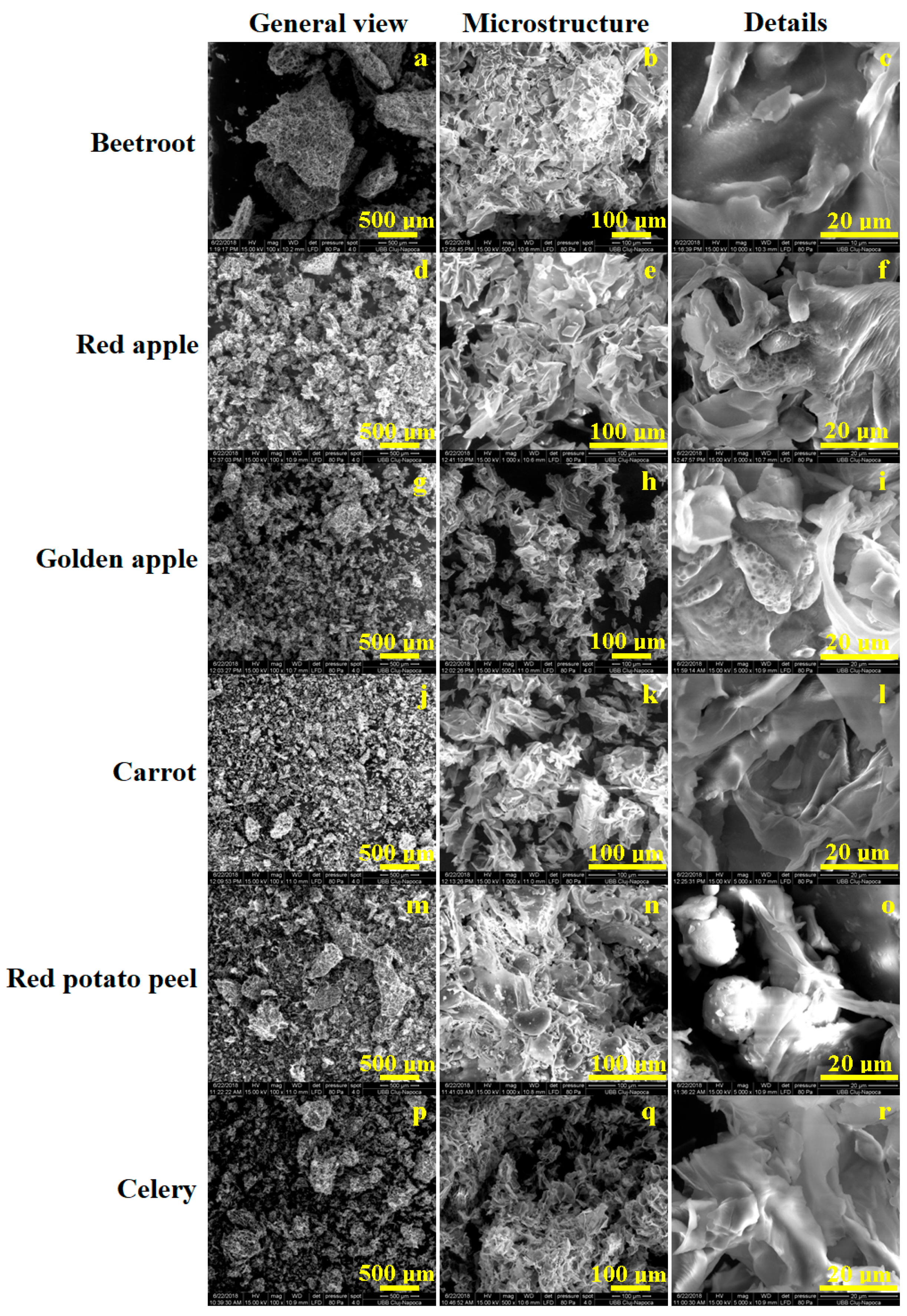 Agriculture 14 02038 g007