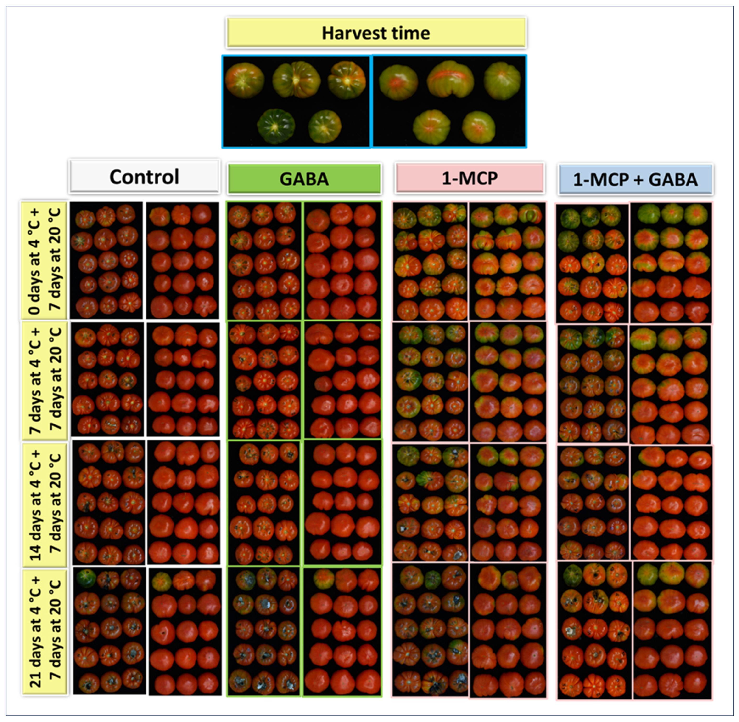 Agriculture 14 02040 g007