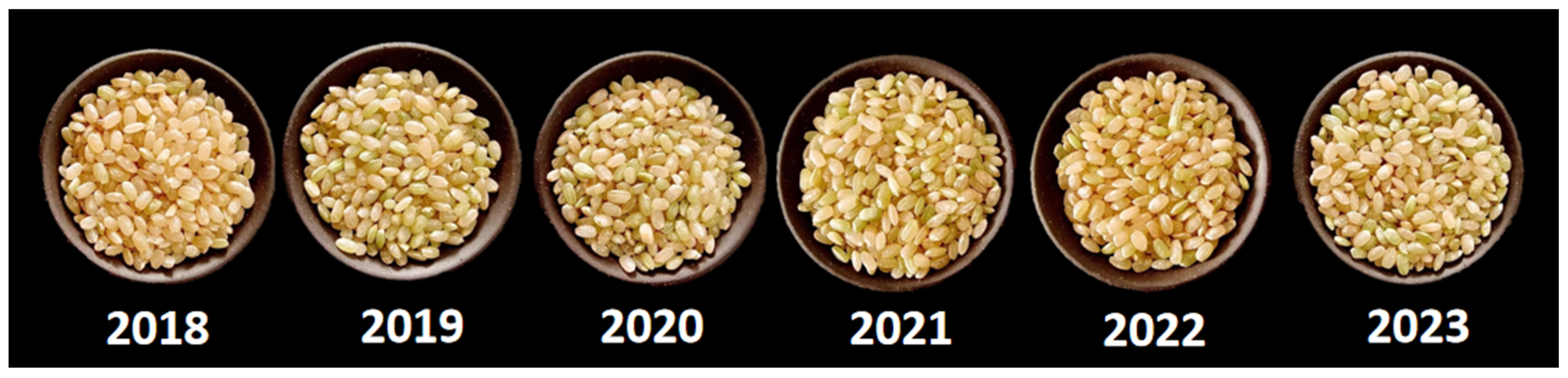 Agriculture 14 02041 g001