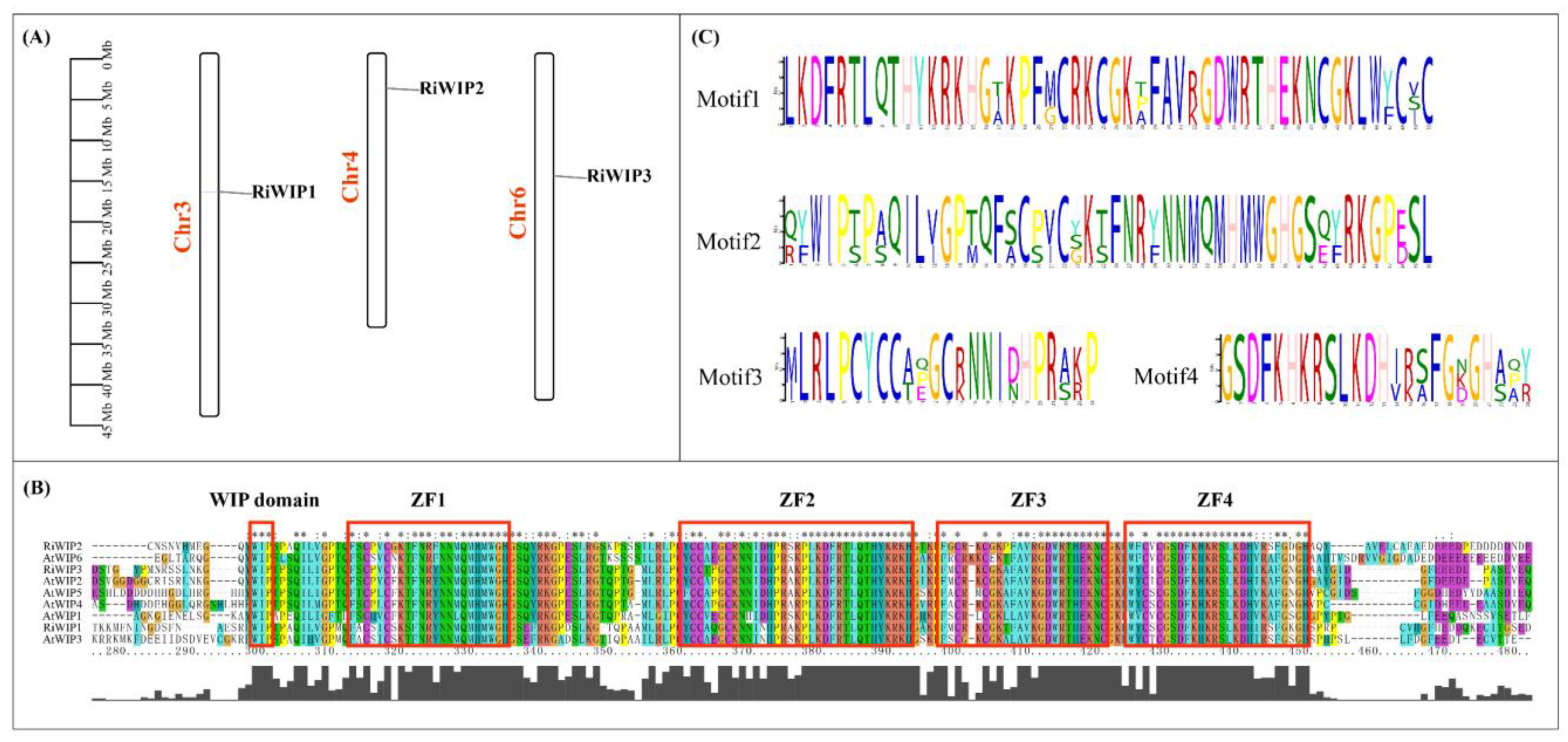 Agriculture 14 02047 g001
