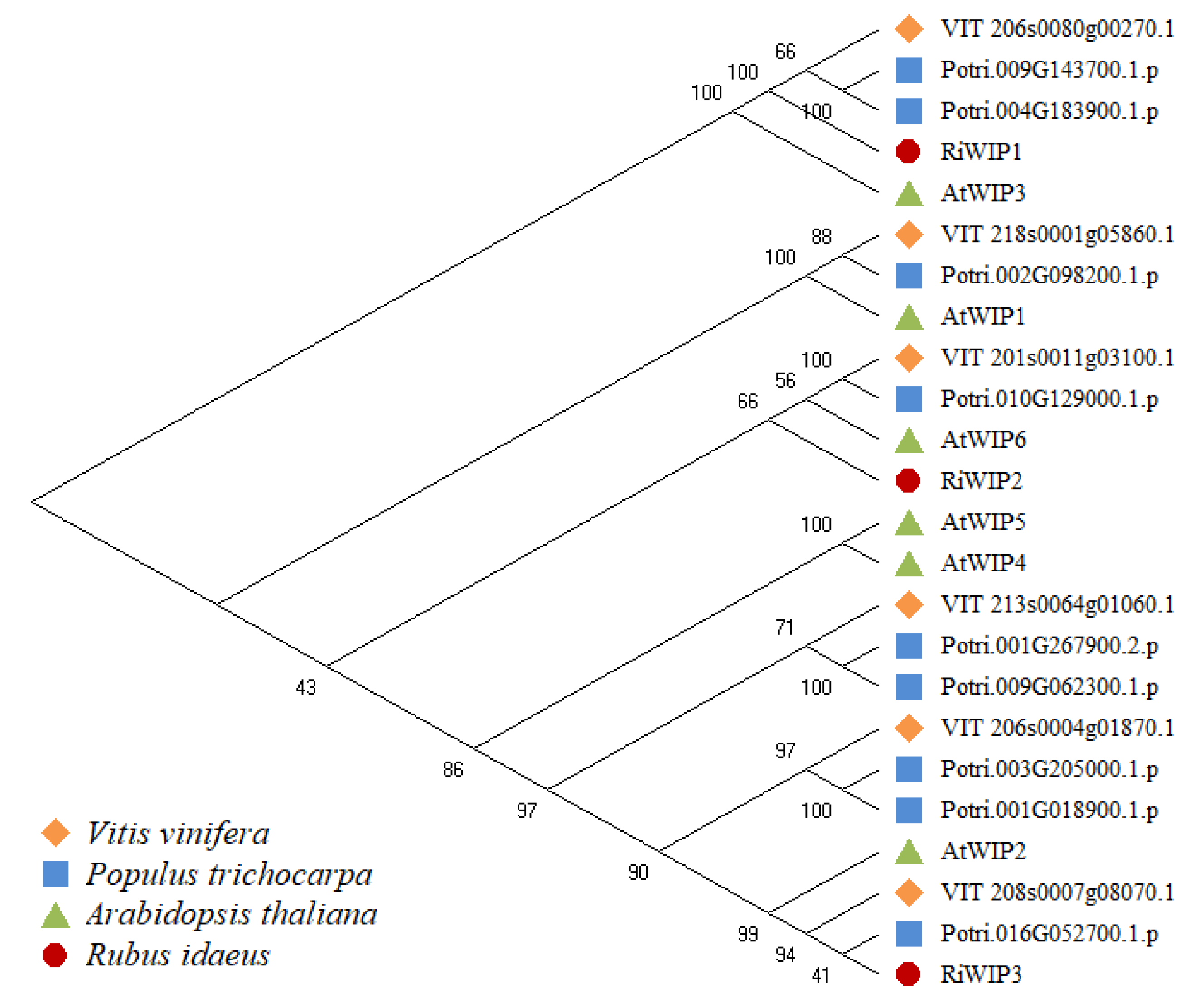 Agriculture 14 02047 g002