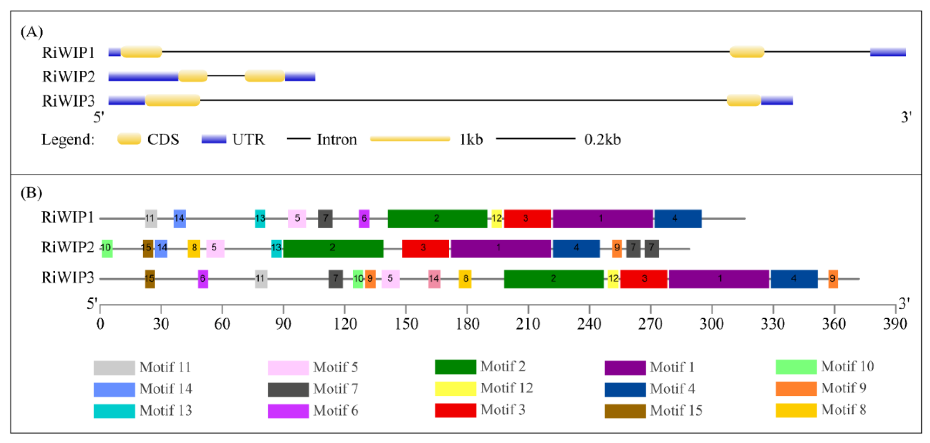 Agriculture 14 02047 g003