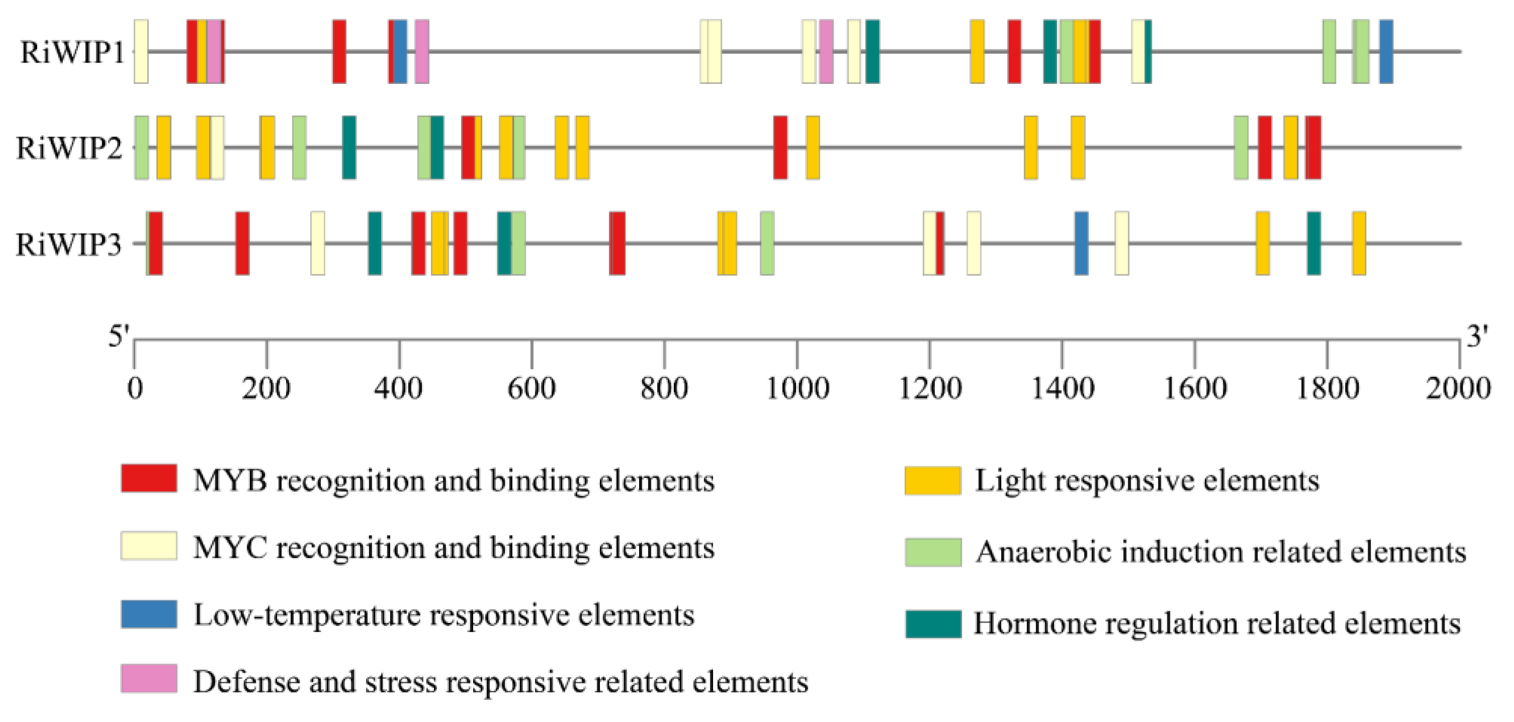 Agriculture 14 02047 g004