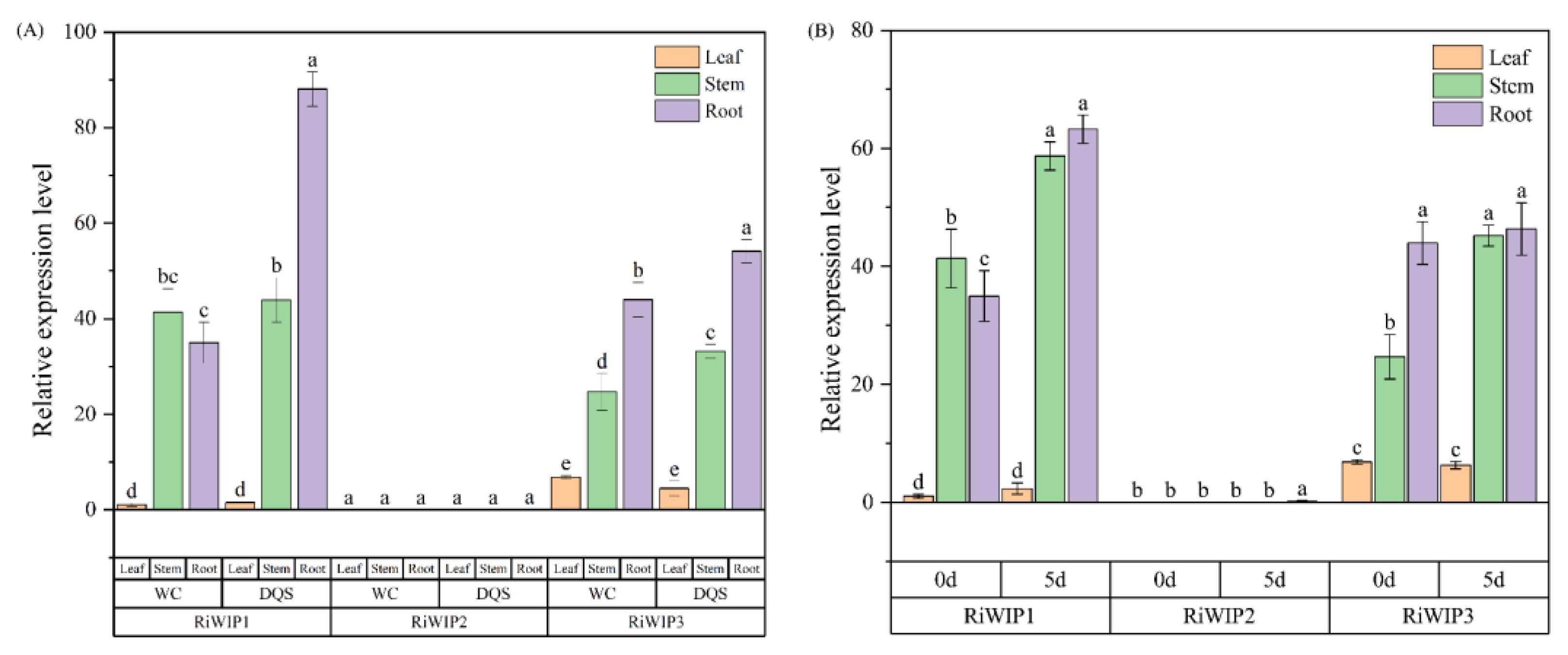 Agriculture 14 02047 g005