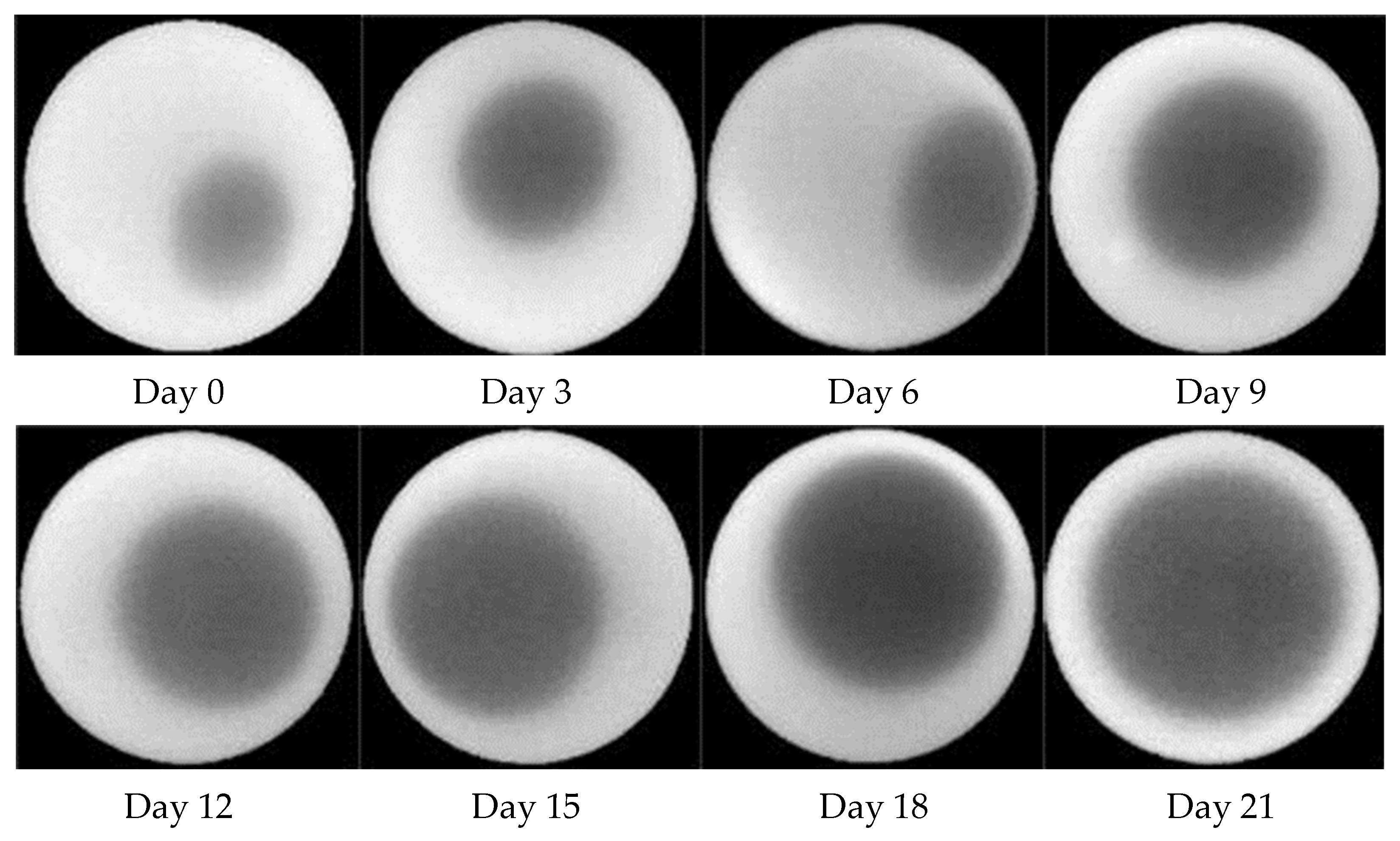Agriculture 14 02049 g004