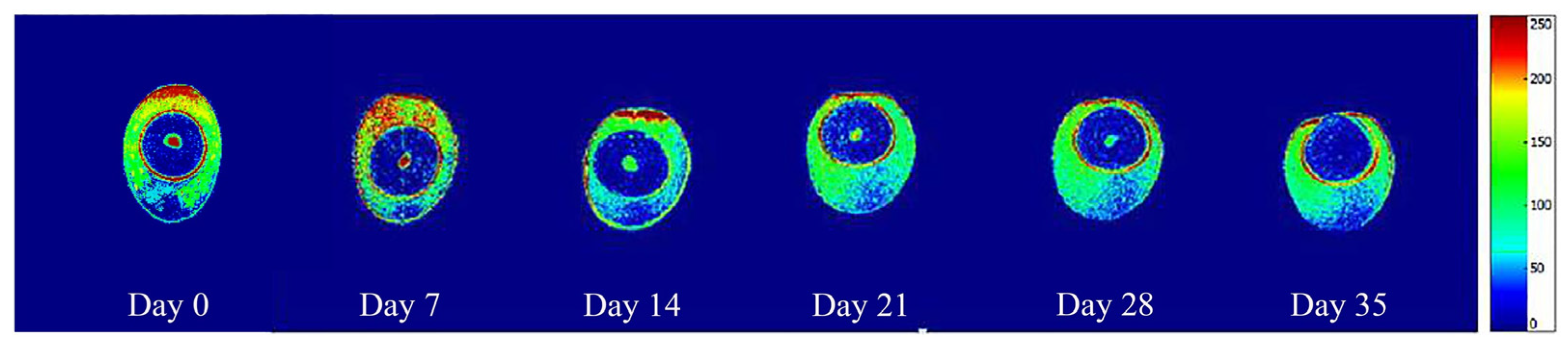 Agriculture 14 02049 g005