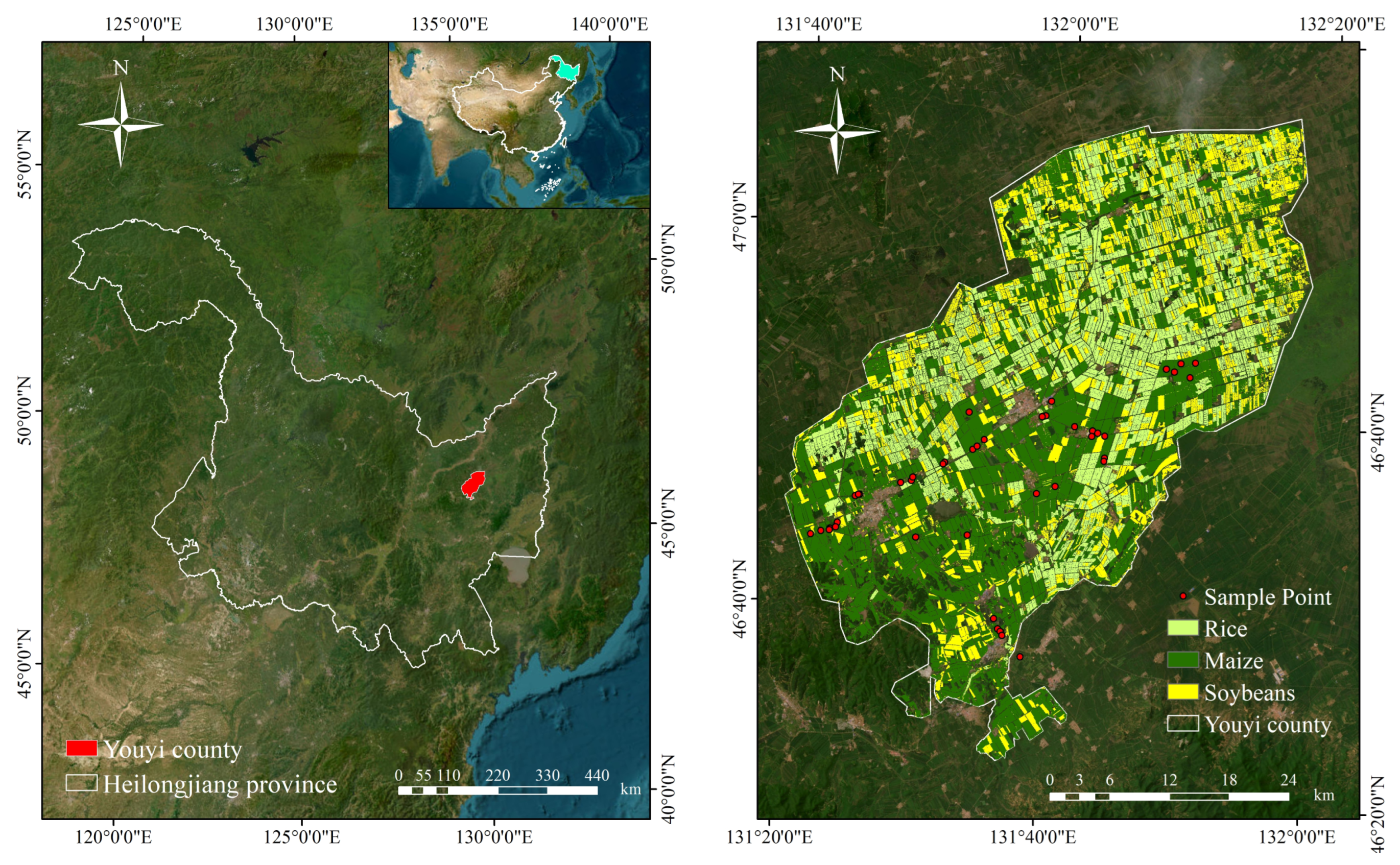 Agriculture 14 02052 g001