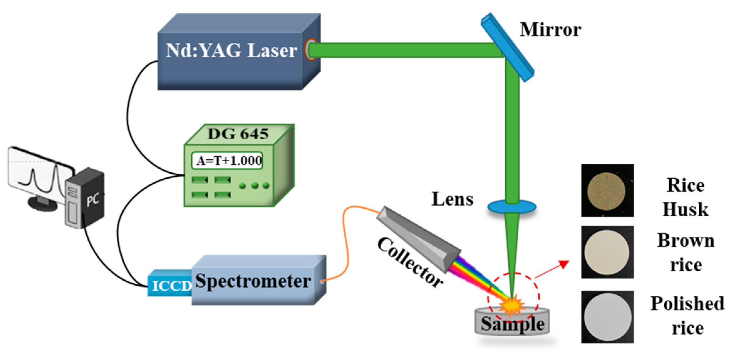 Agriculture 14 02053 g001