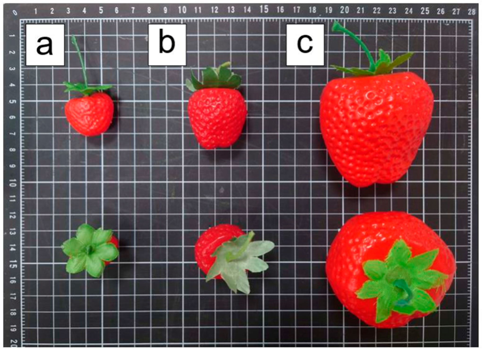 Agriculture 14 02057 g008