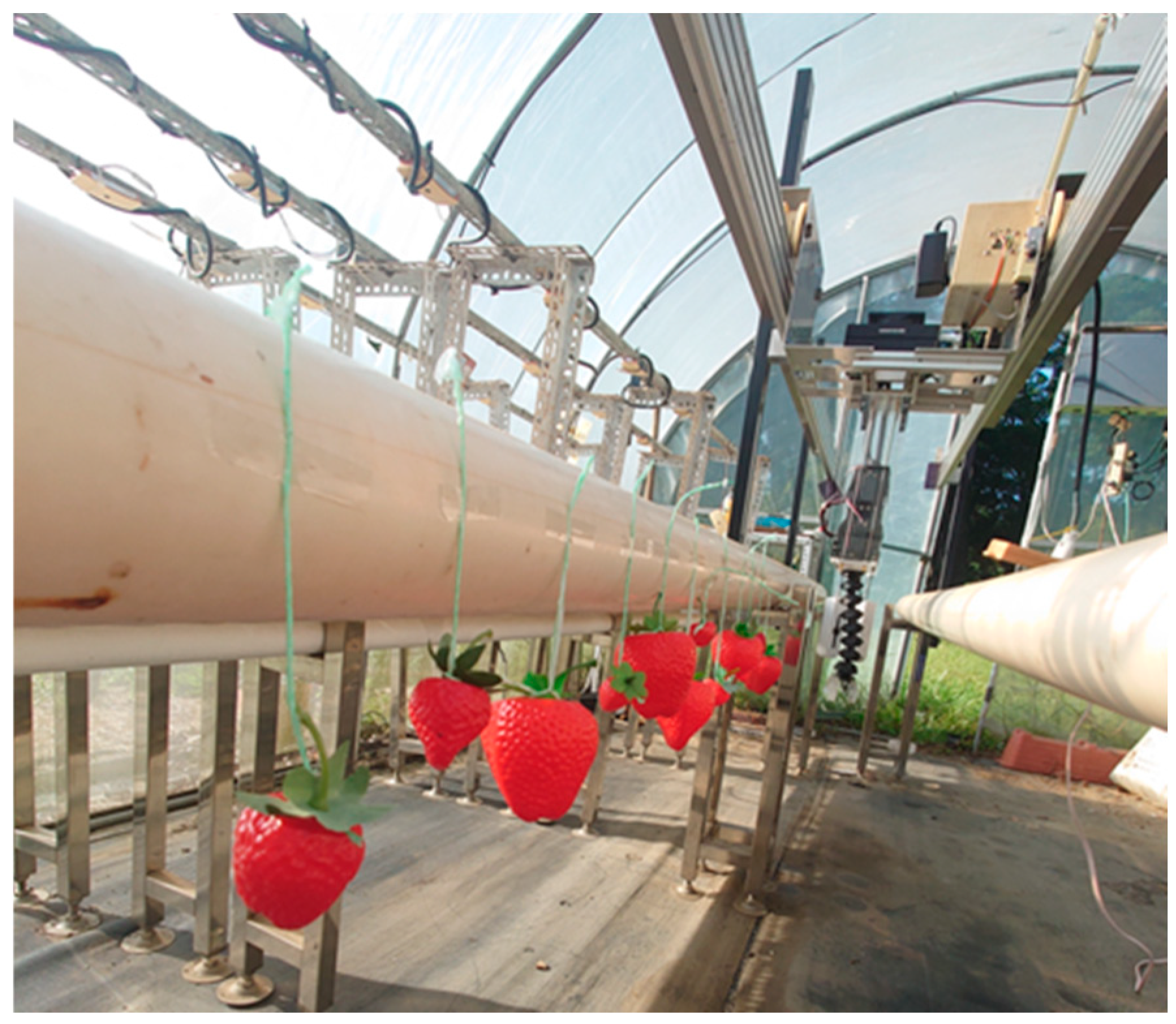 Agriculture 14 02057 g018