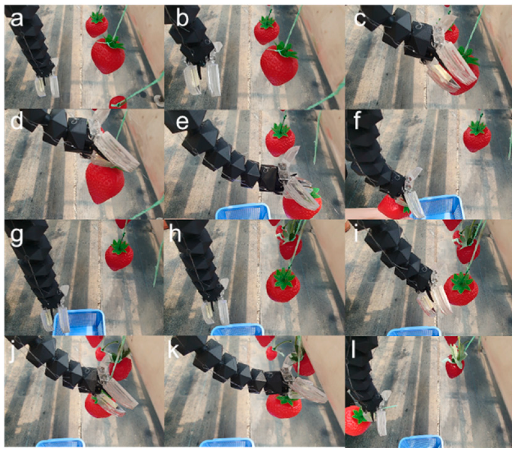 Agriculture 14 02057 g021