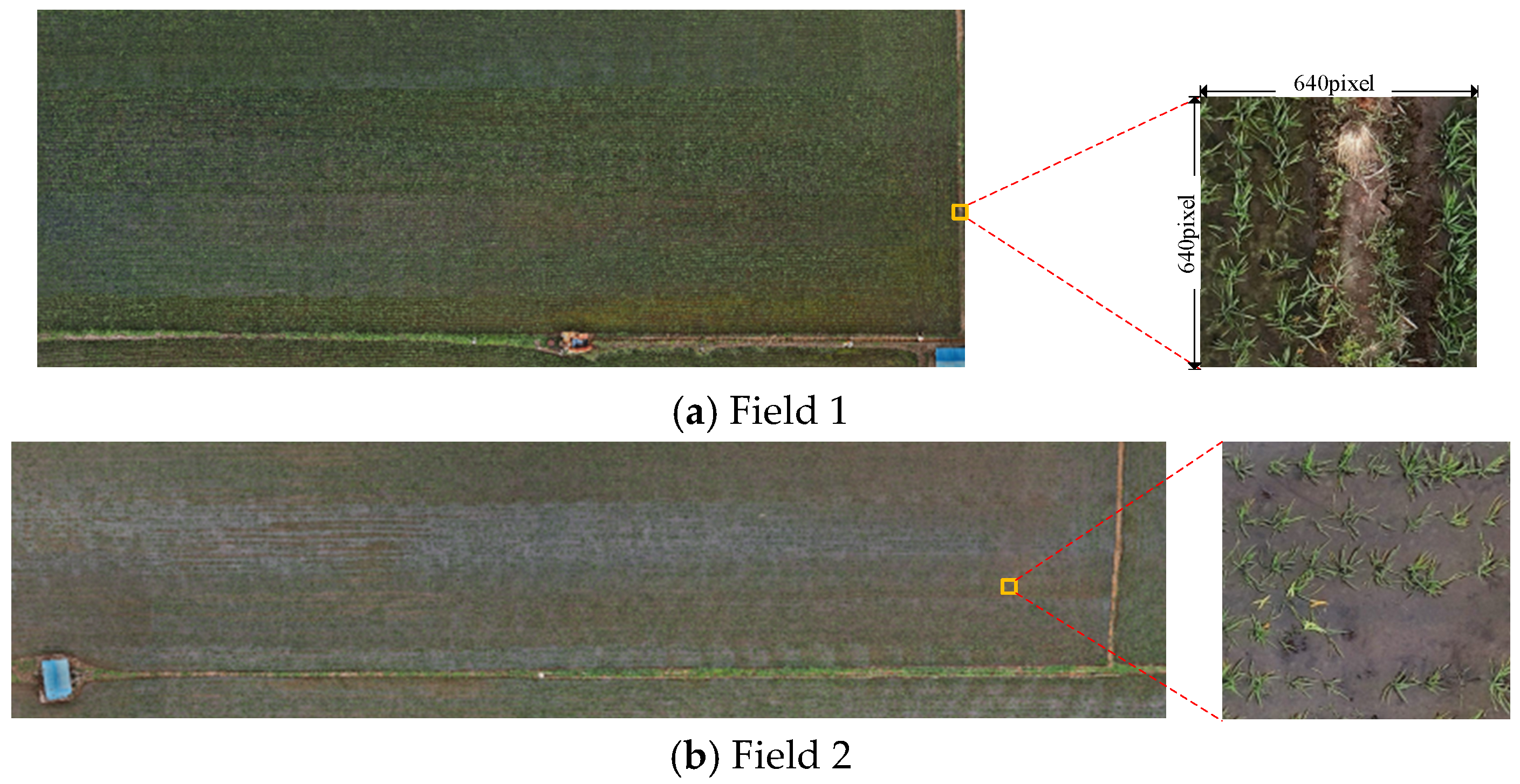 Agriculture 14 02066 g002