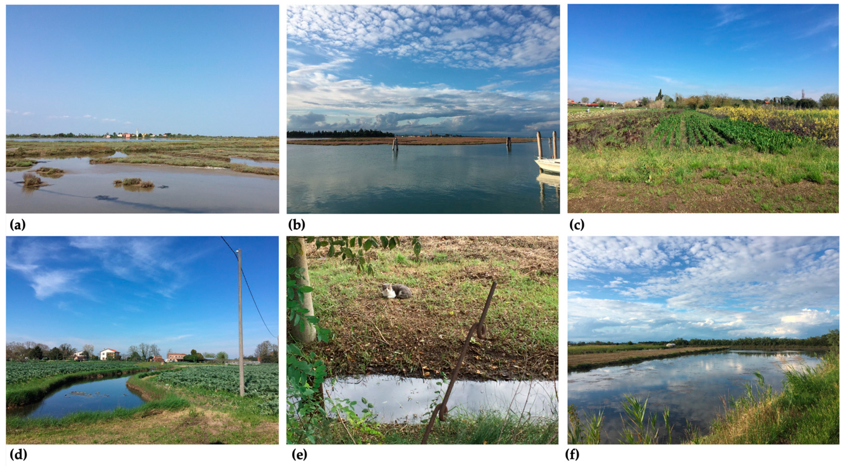 Agriculture 14 02068 g002