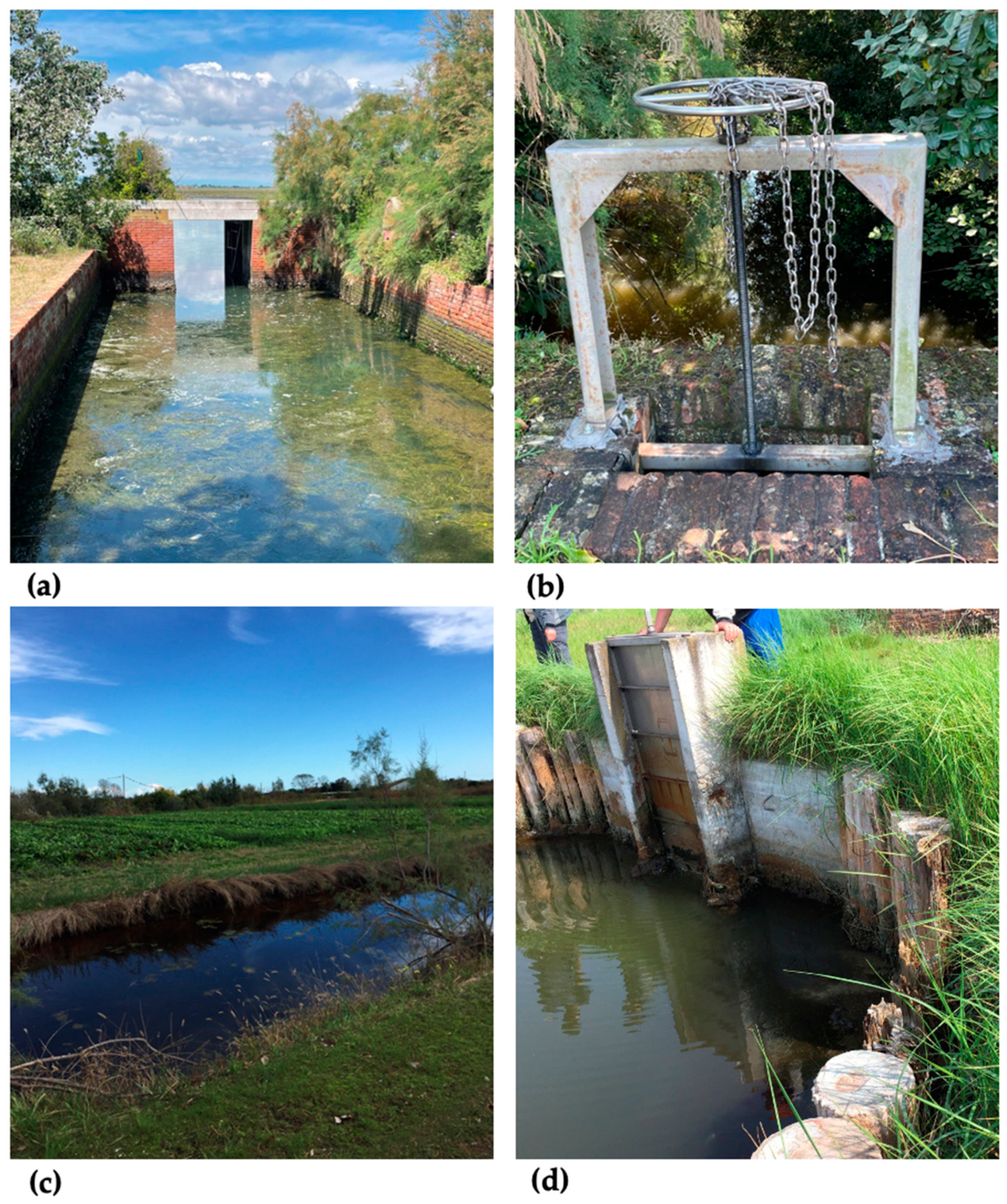 Agriculture 14 02068 g003