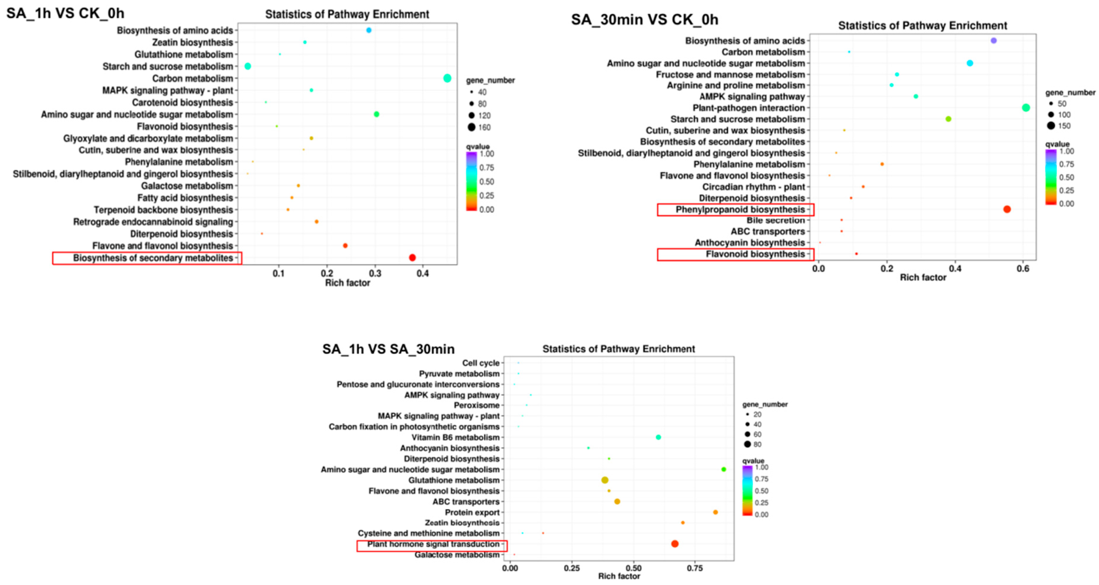 Agriculture 14 02069 g005