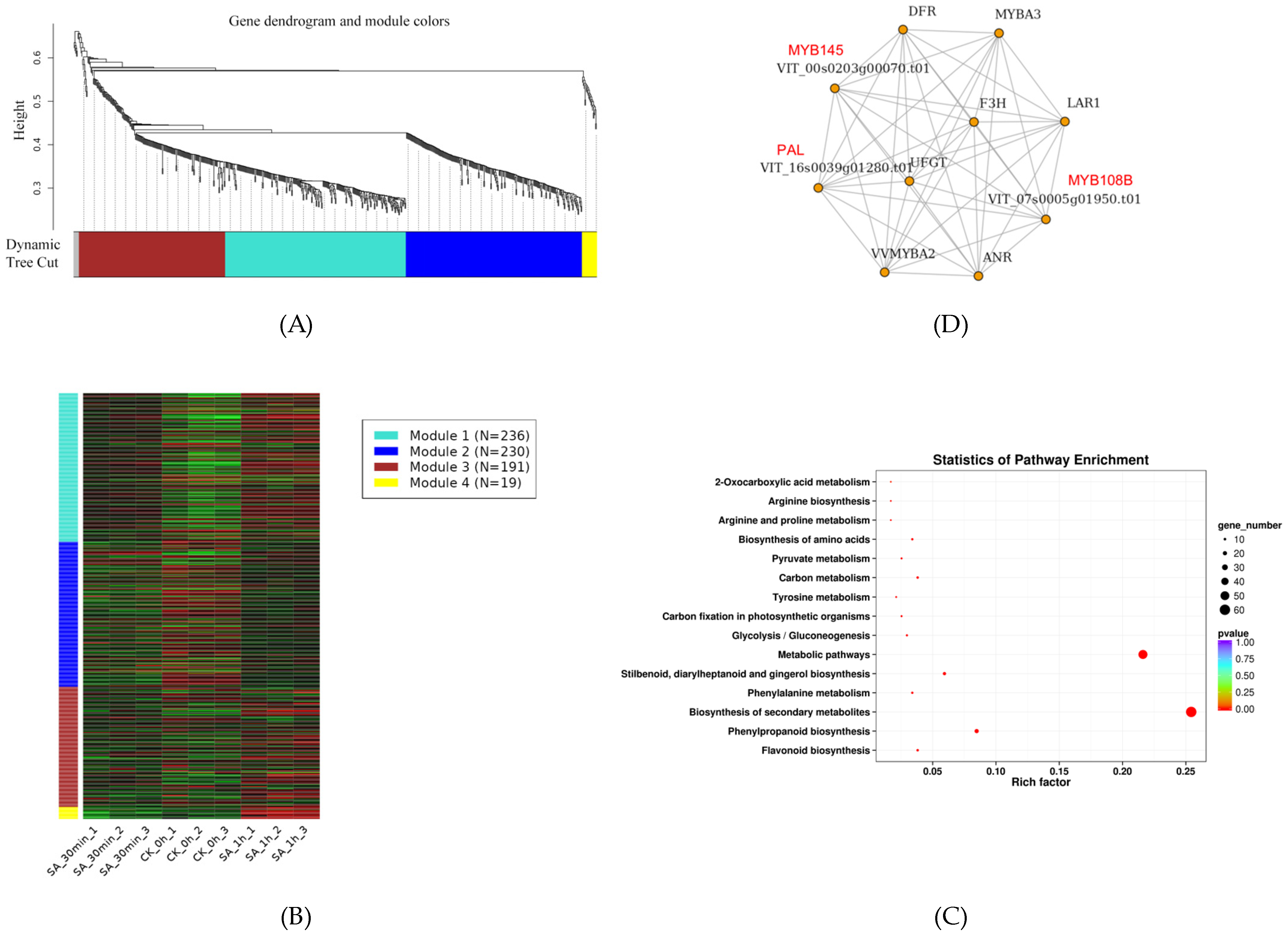Agriculture 14 02069 g006