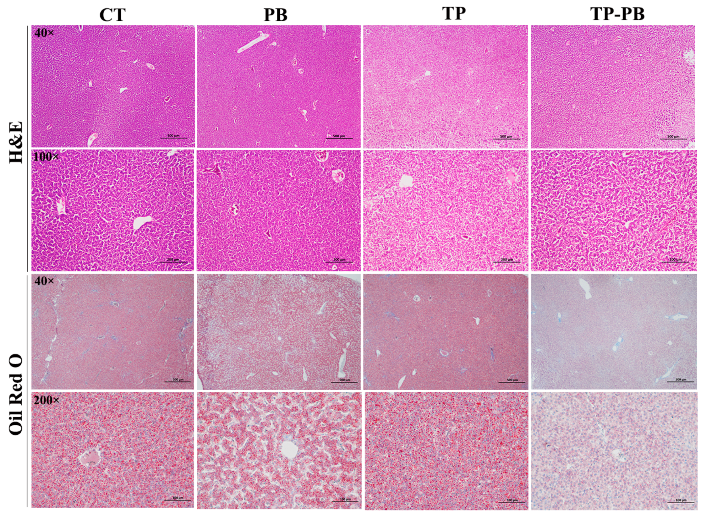 Agriculture 14 02072 g001