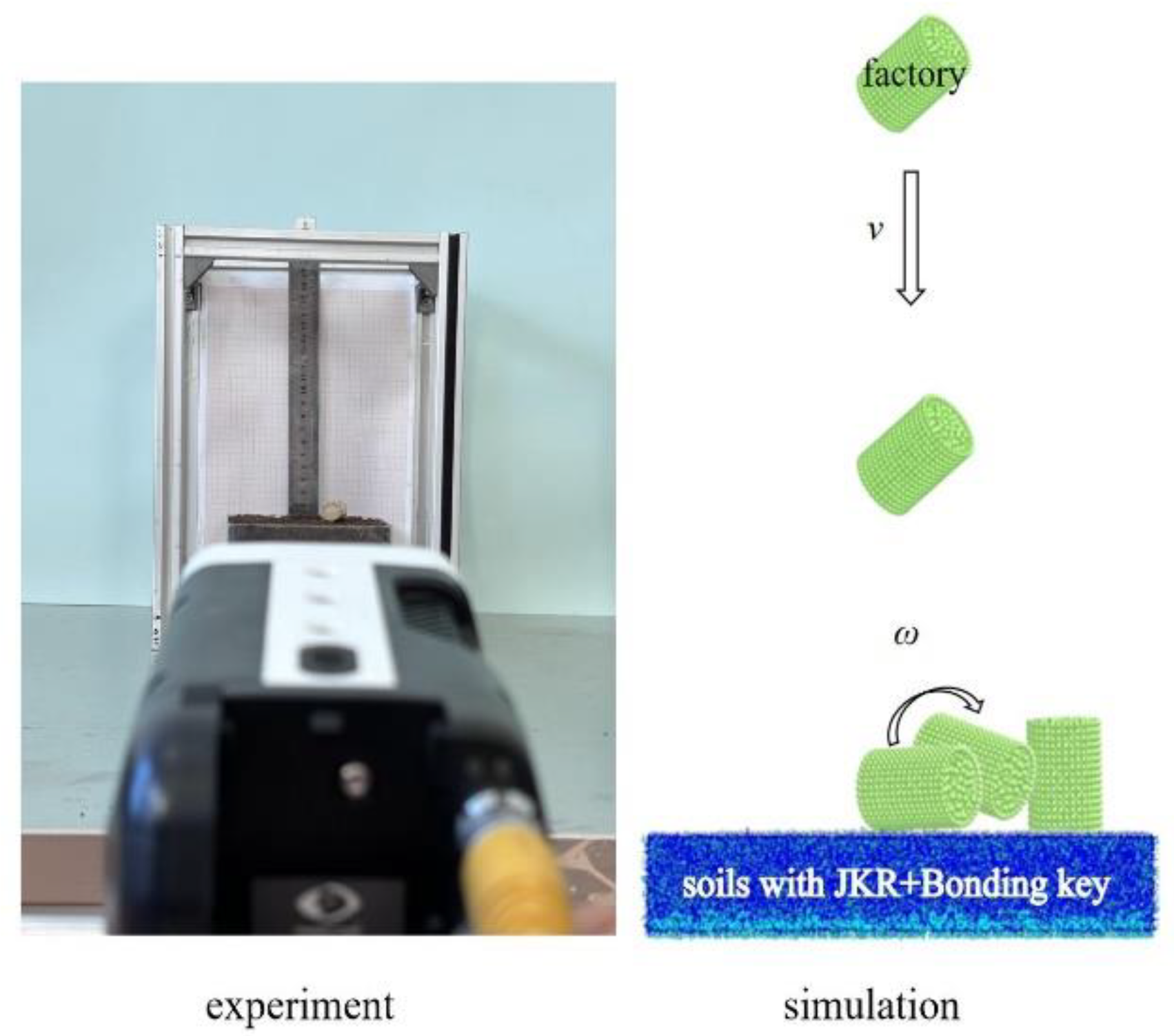Agriculture 14 02075 g009