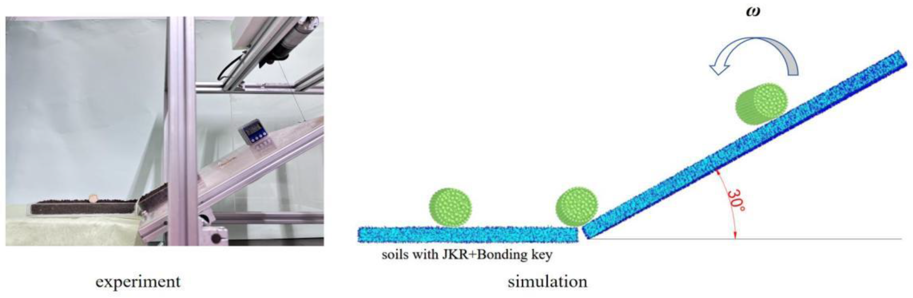 Agriculture 14 02075 g011