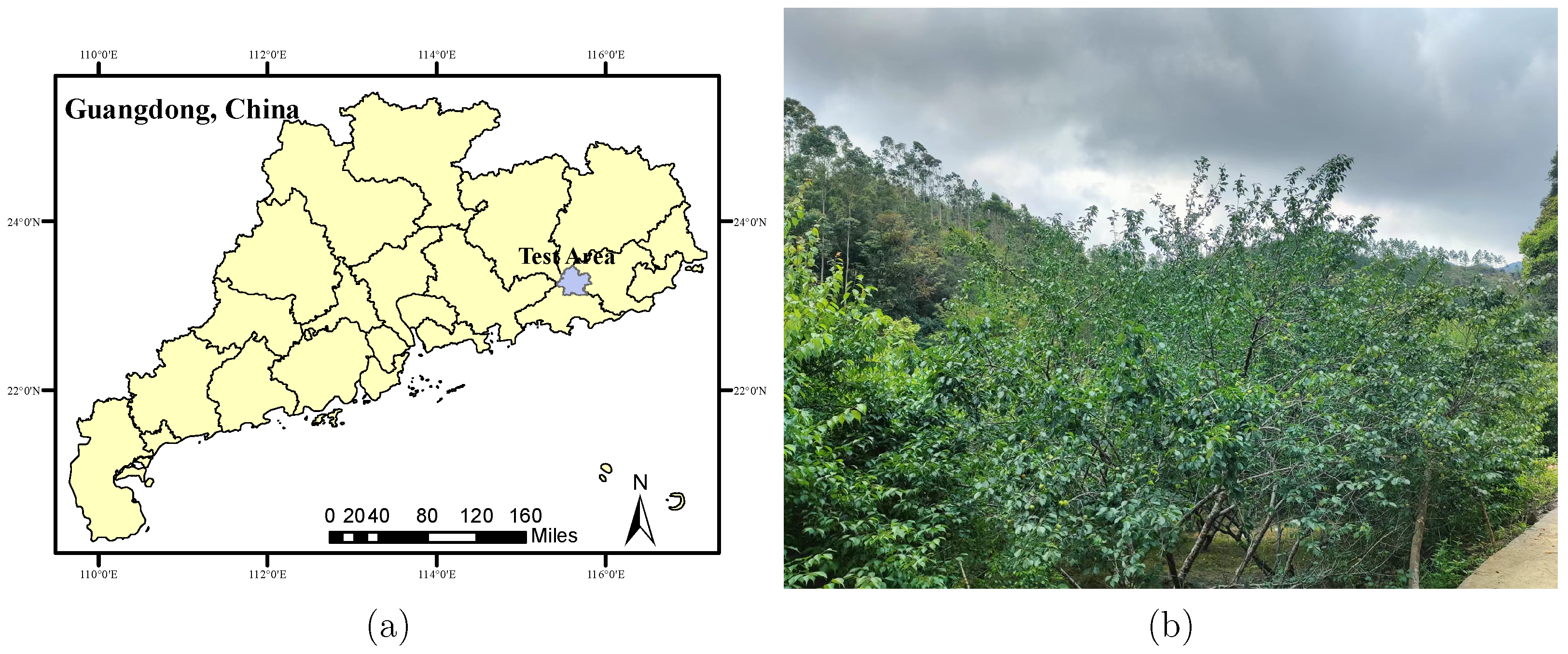 Agriculture 14 02076 g001