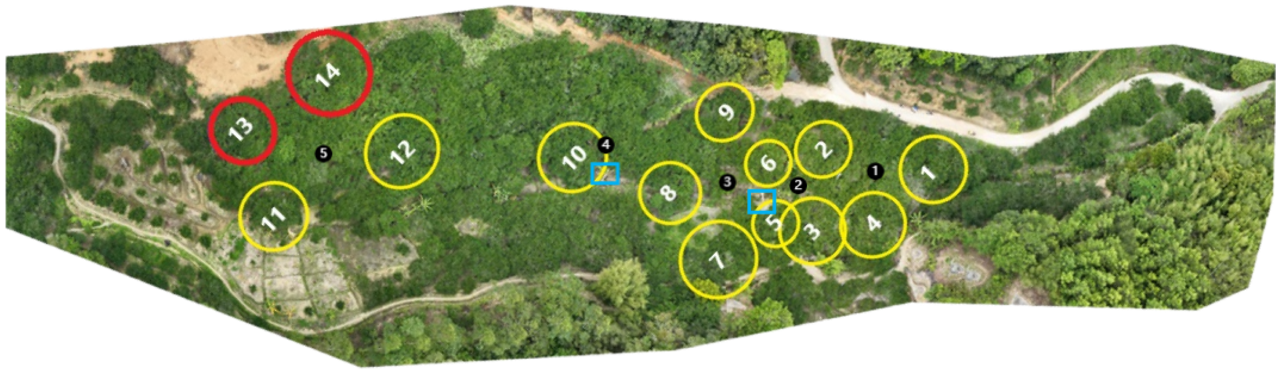 Agriculture 14 02076 g003